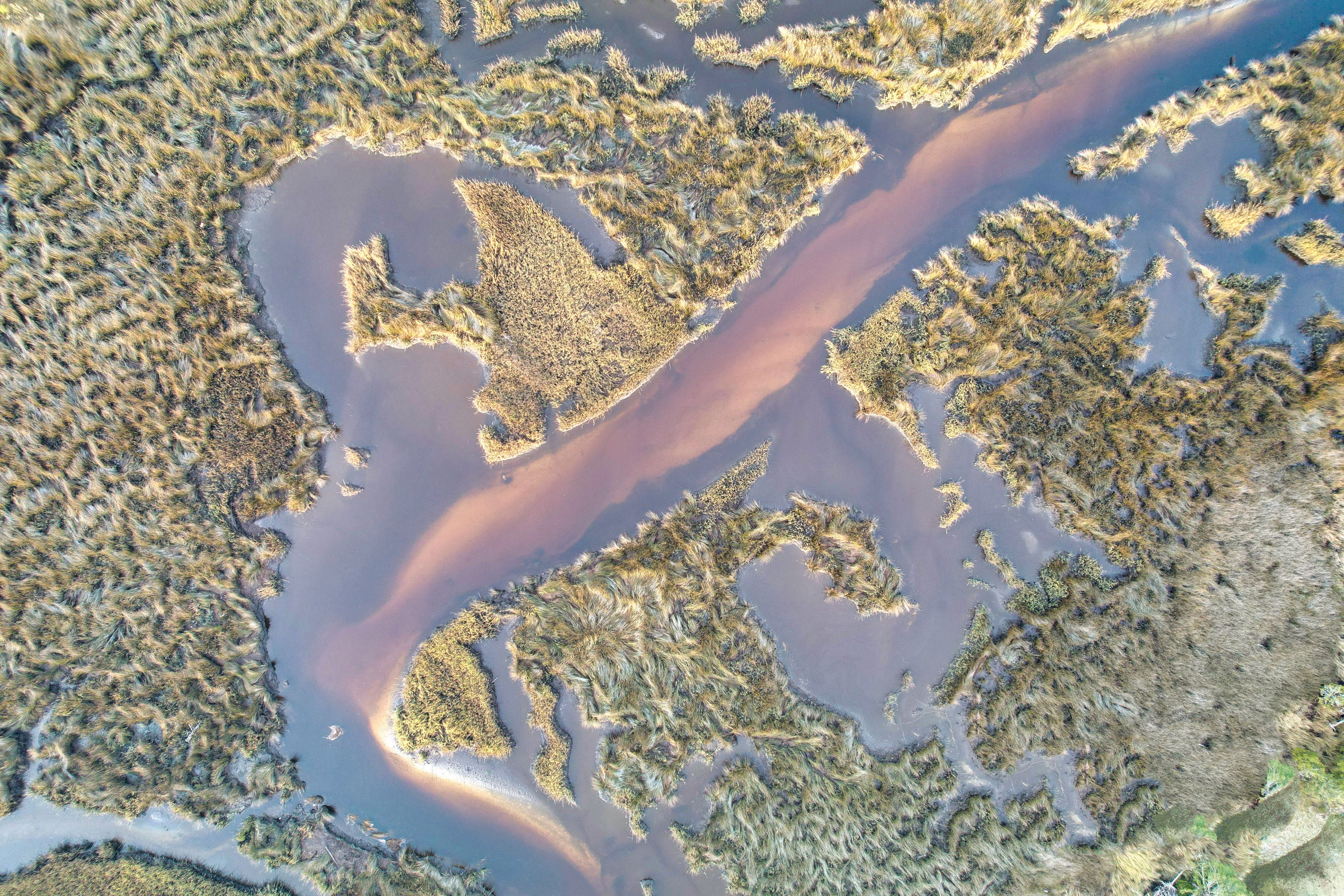 Doñana National Park, Spain — Europe's edge, slowly dissolving into water