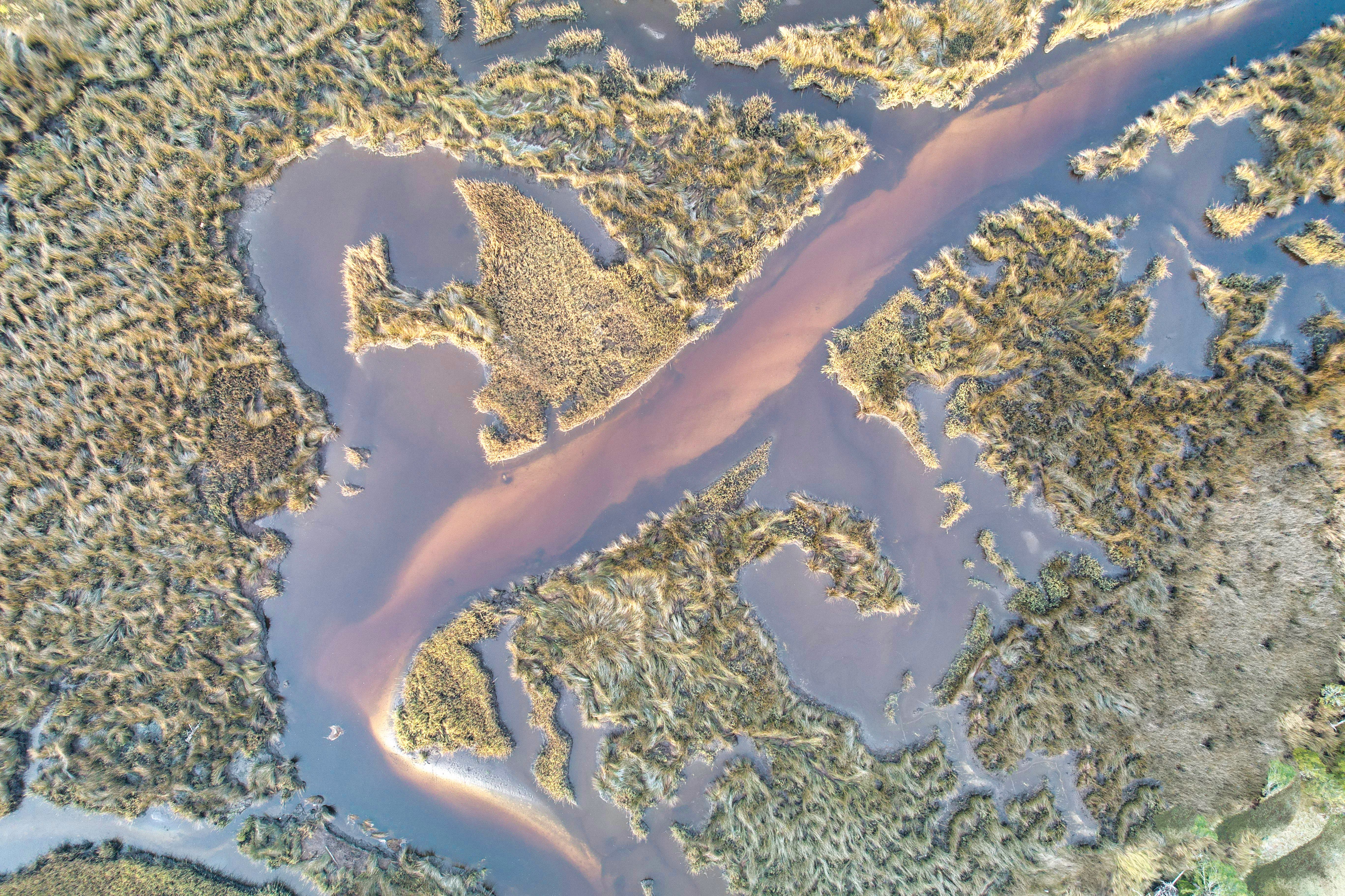 Aerial View of Serene Marshland with Winding Waterway · Free Stock Photo
