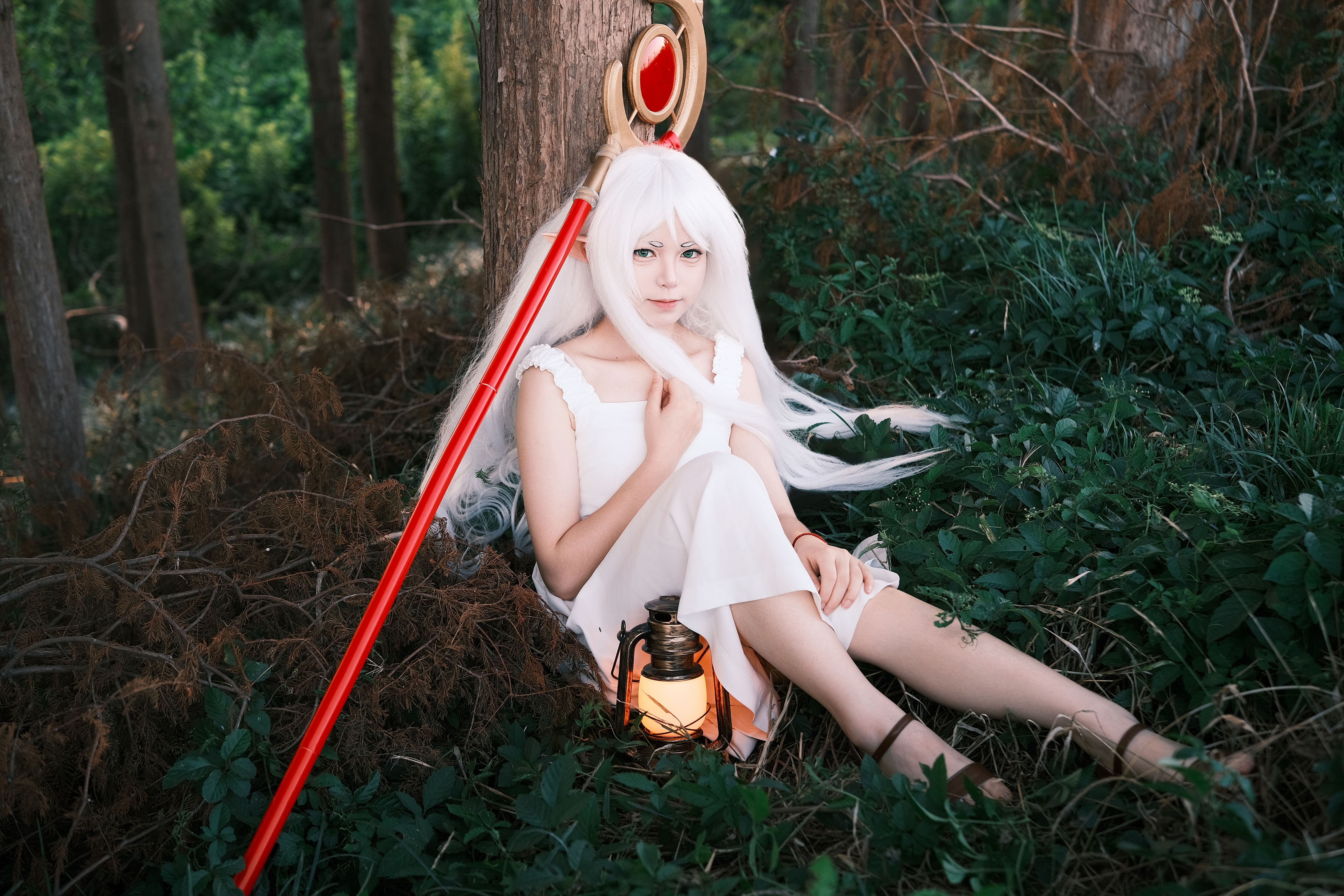 Tamon's B-Side Anime English Dub Begins Streaming on Crunchyroll Tomorrow — Photo by 巧克力饼干 on Pexels