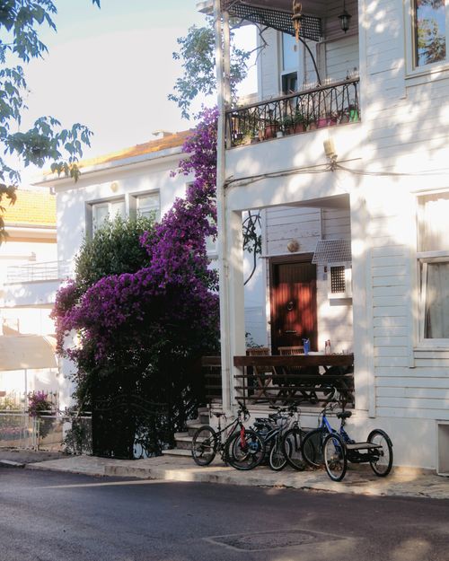 Free Tranquil street scene featuring a charming house and vibrant purple bougainvillea. Stock Photo