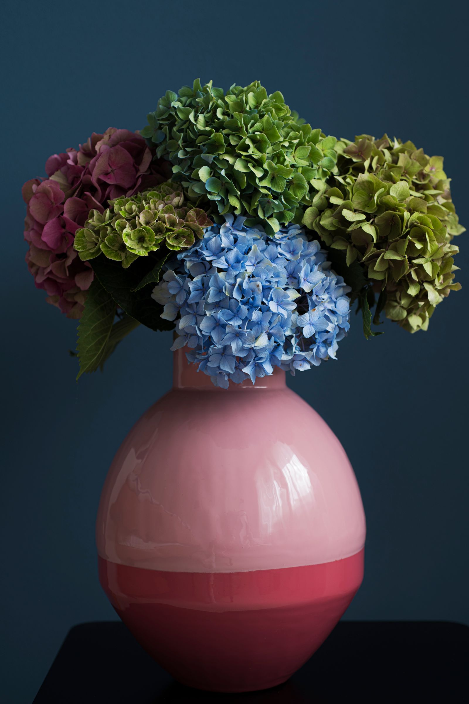 Hortensia's in groen, bordeaux en blauw in een roze vaas