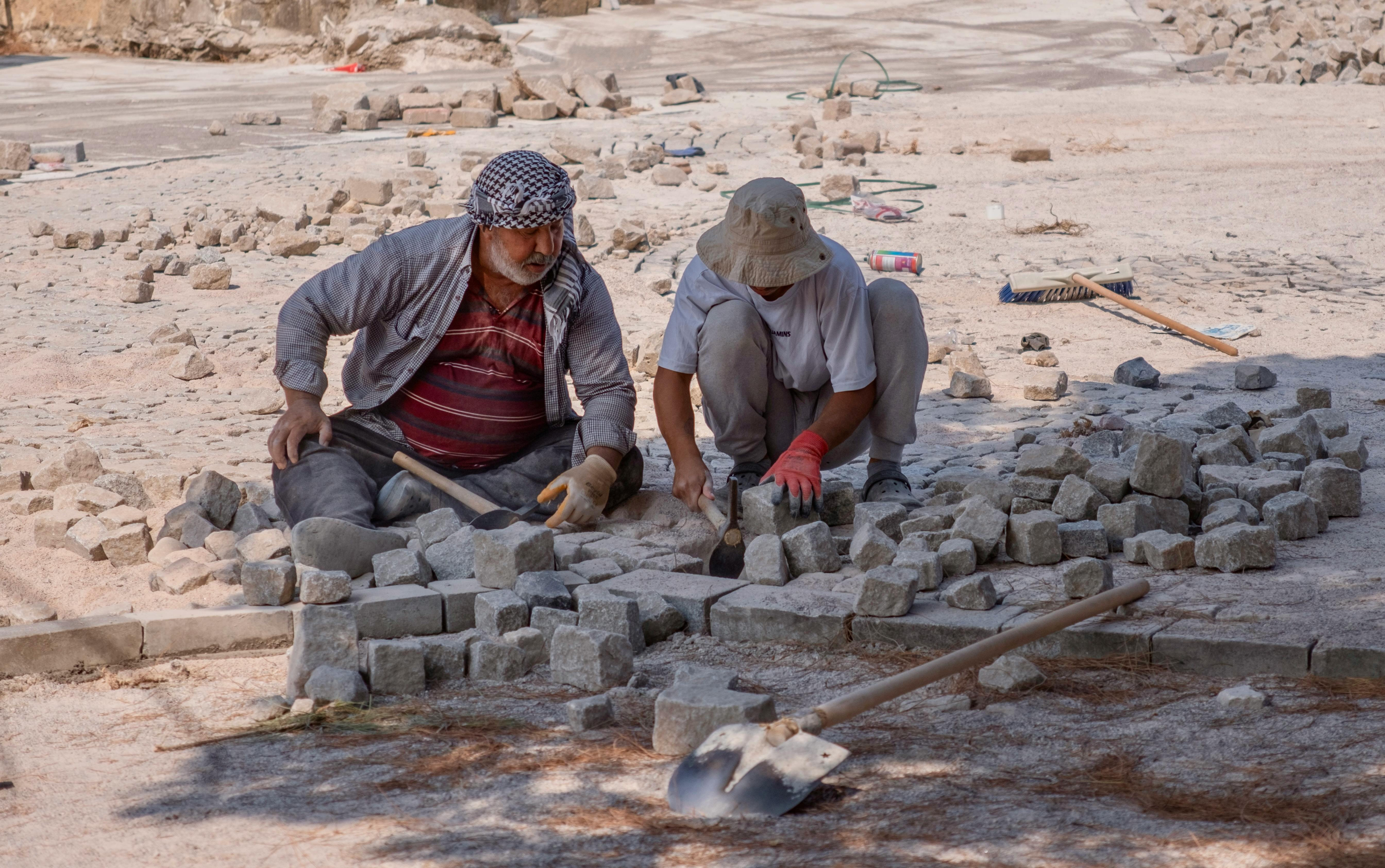 Толстая кишка человека