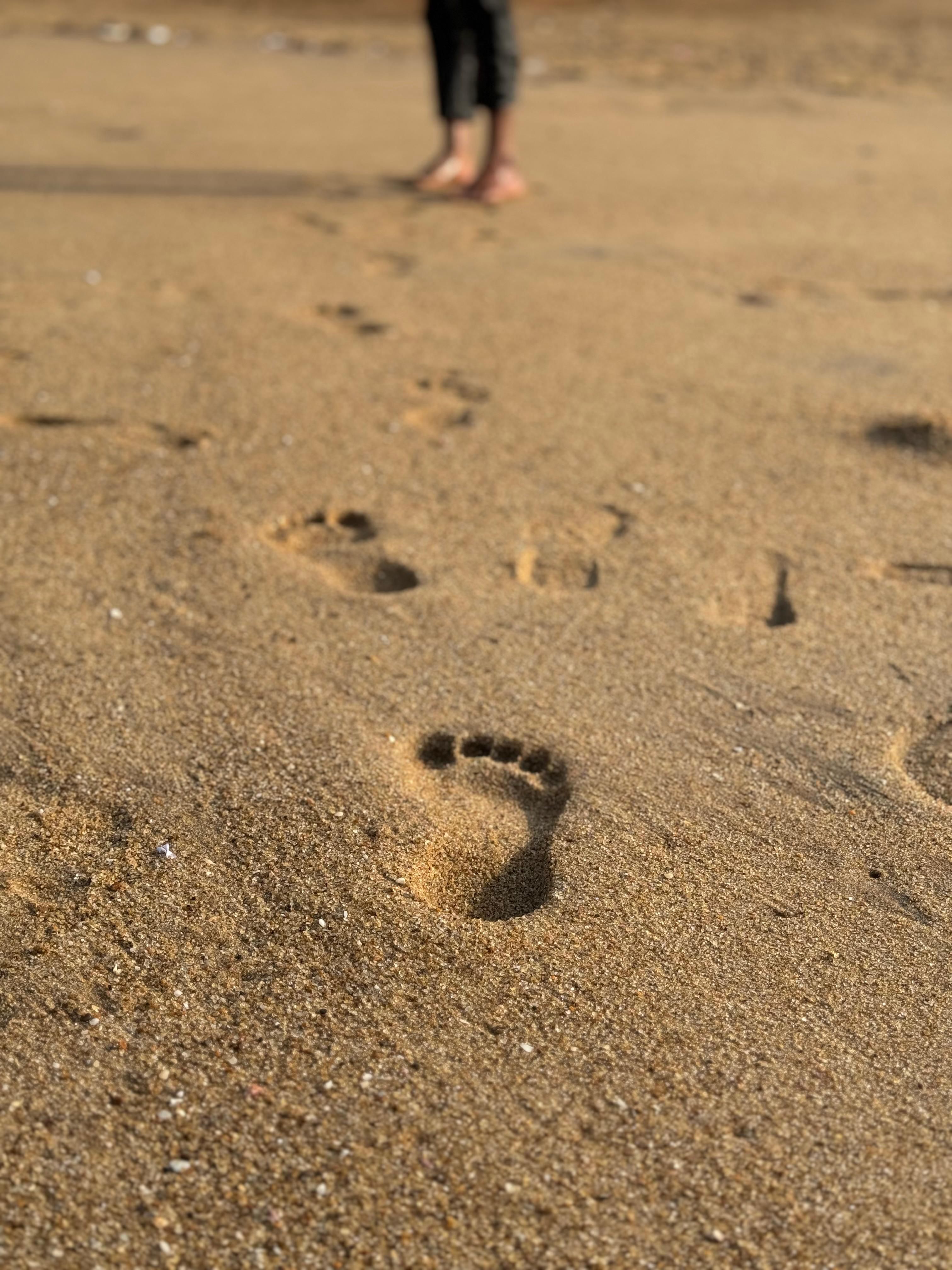 Footprint Charts Photos, Download The BEST Free Footprint Charts Stock
