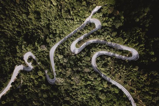 An aerial view of a winding road cutting through lush green forest during summer.