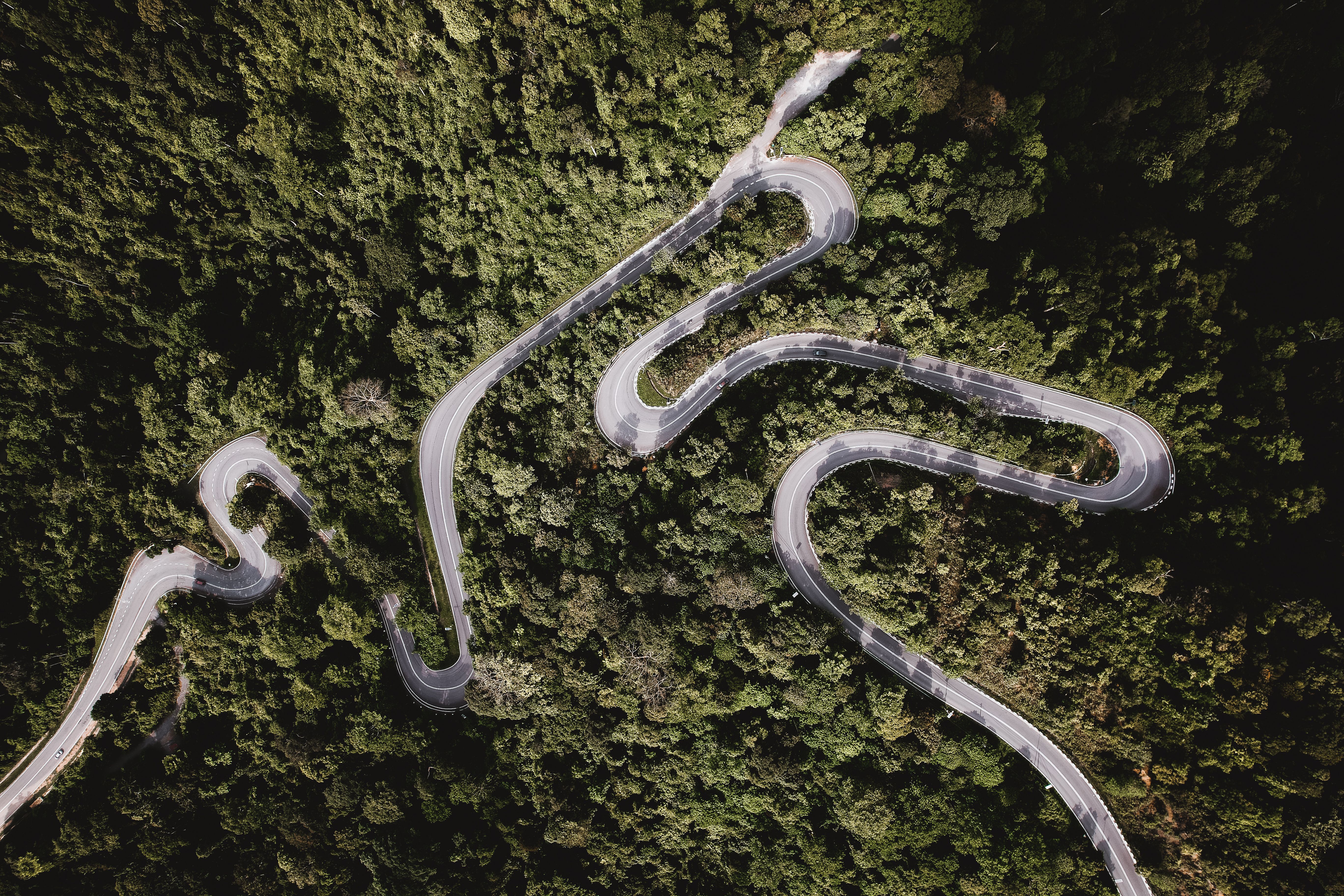 Aerial View of Winding Forest Road in Summer · Free Stock Photo