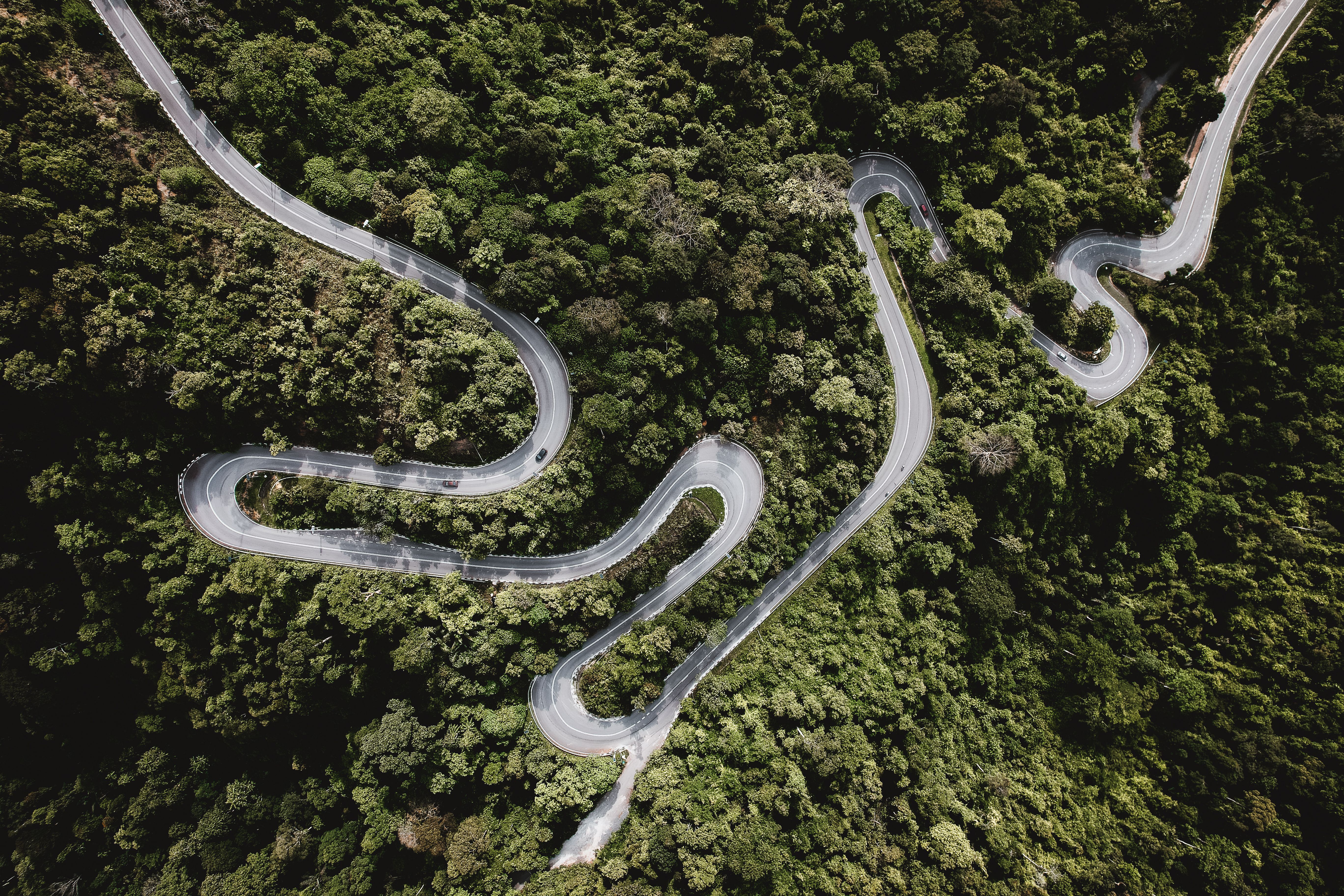 Beyond Subscriptions Navigating SaaS Pricing Models — Photo by Pok Rie on Pexels