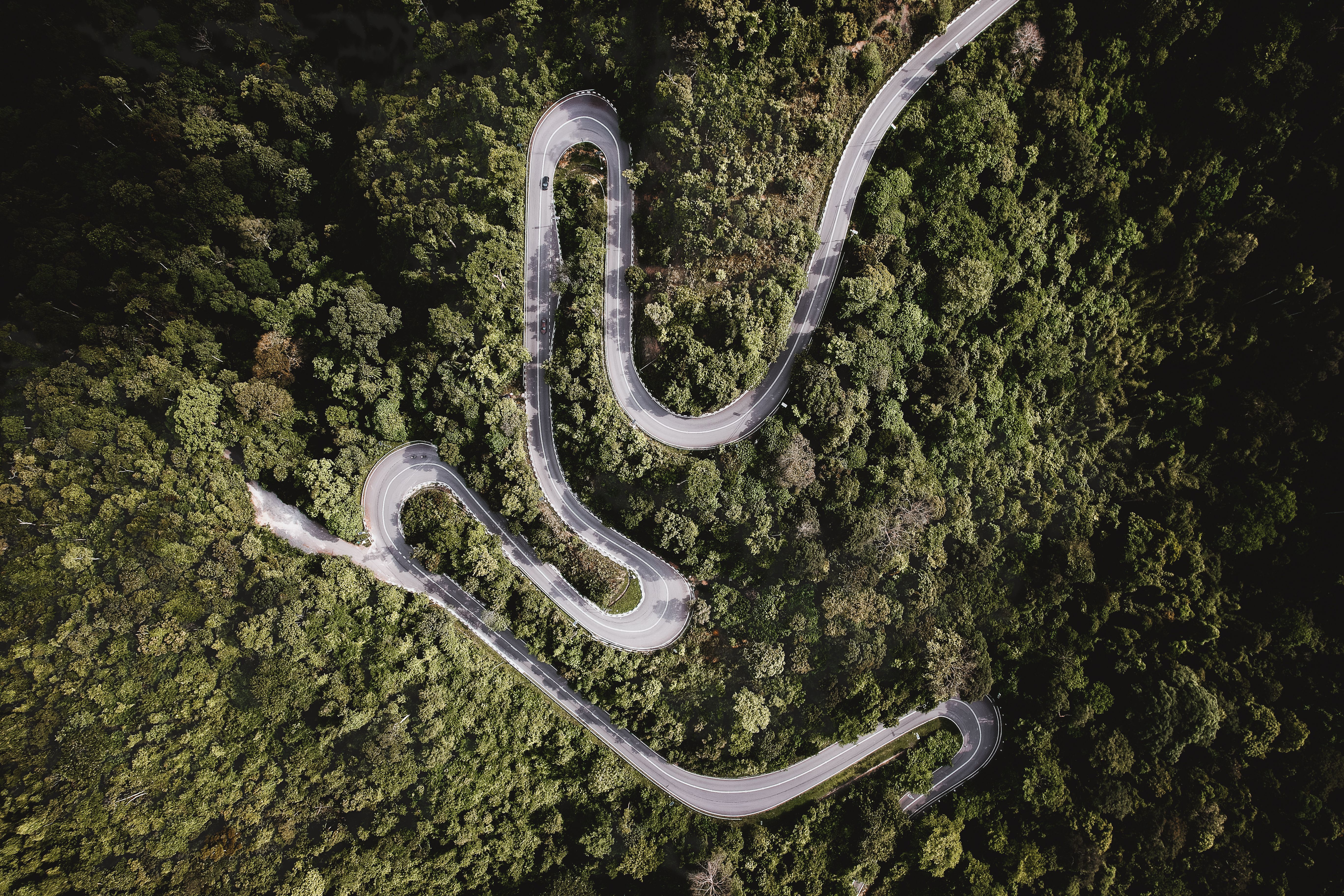 Aerial View of Winding Road Through Lush Forest · Free Stock Photo