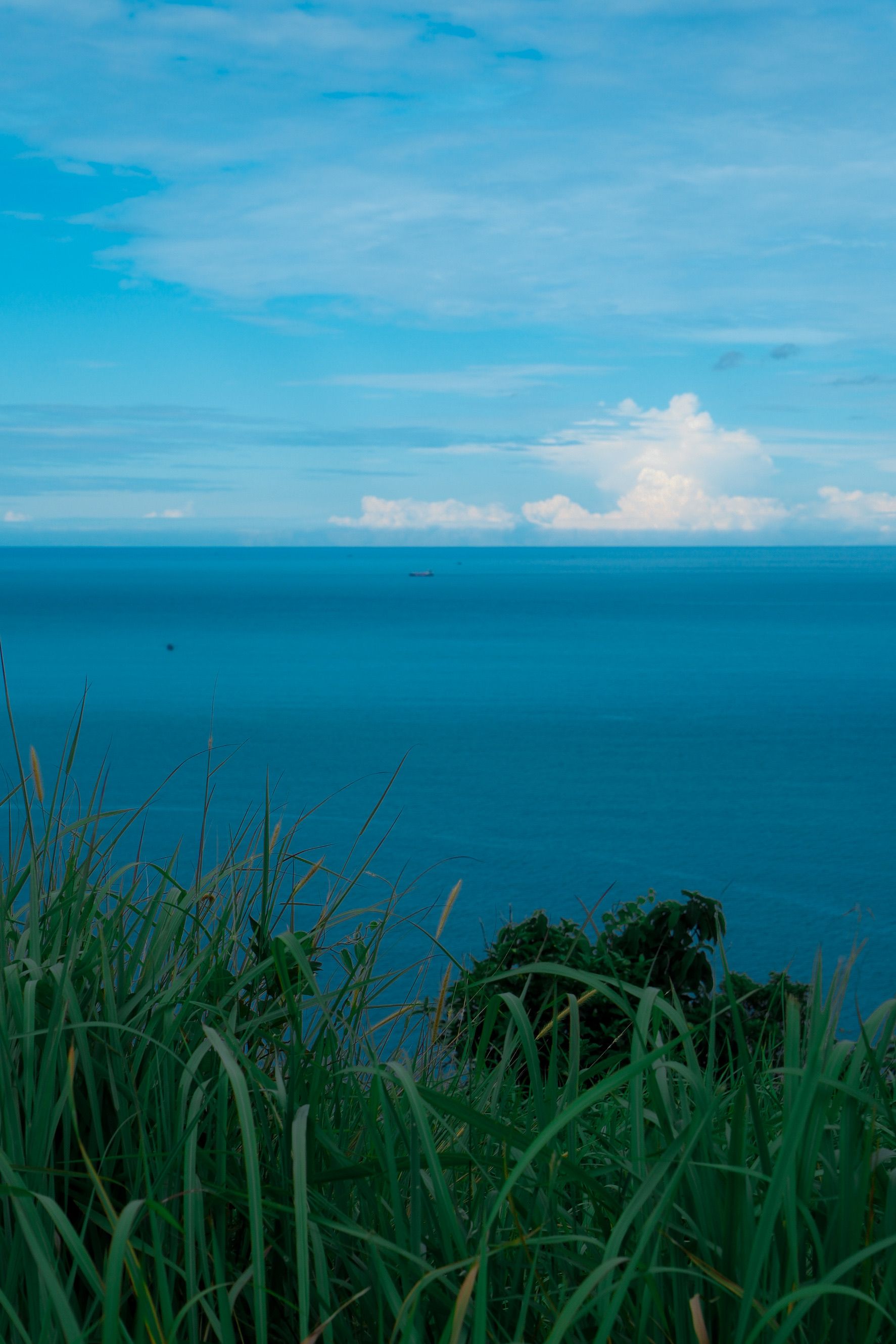 Scenic Ocean View with Greenery in Foreground