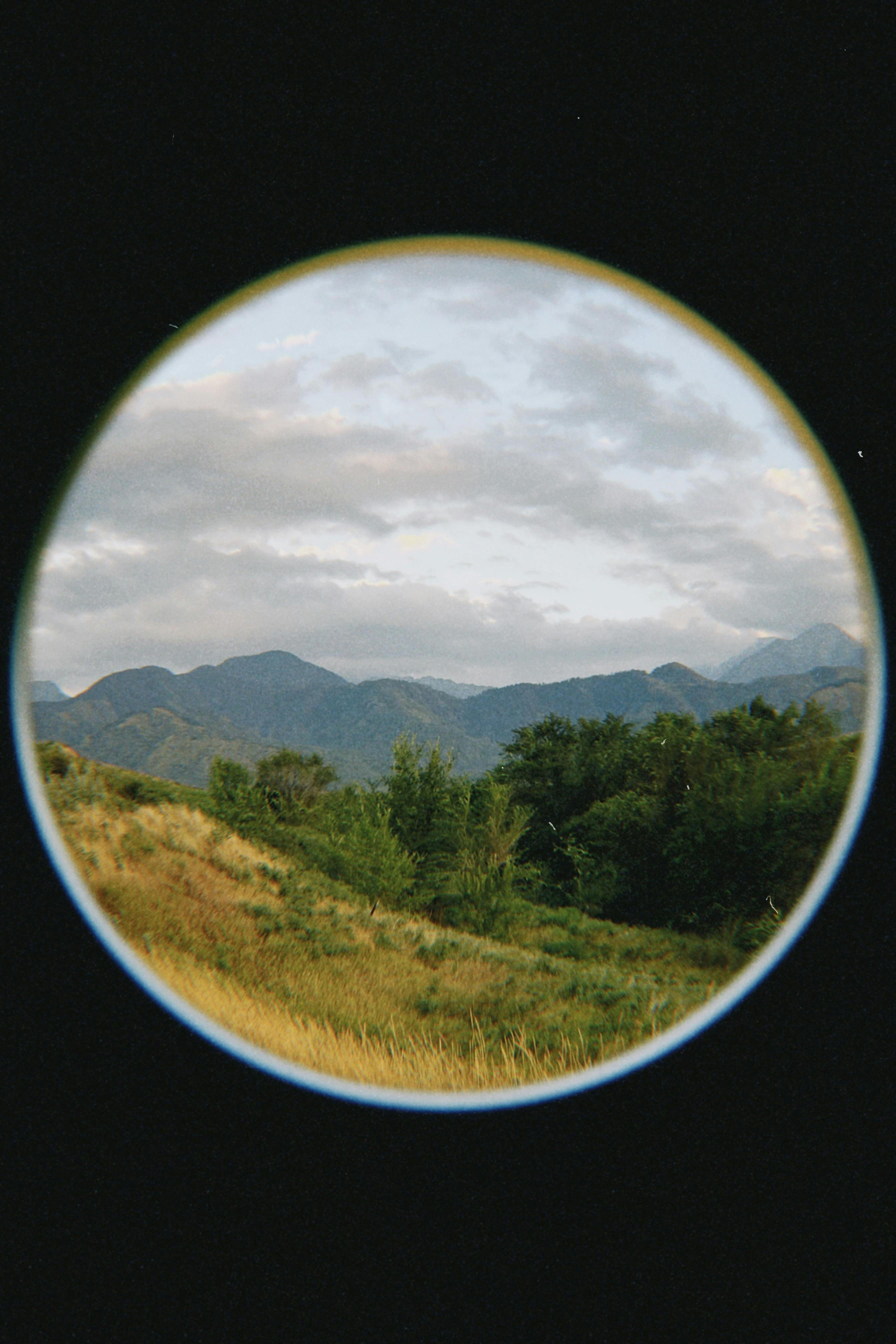 Scenic view of the Talgar mountains in Kazakhstan, showcasing lush greenery and a picturesque landscape.