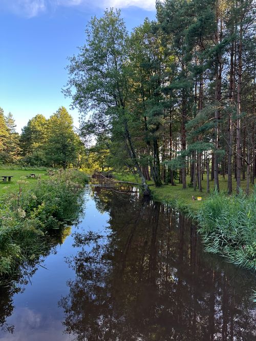 Free Tranquil riverside view with lush greenery and clear blue sky reflecting in the water. Stock Photo
