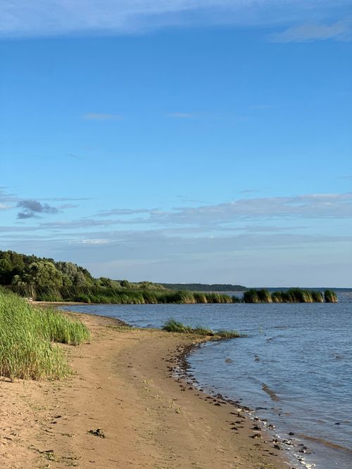 Free Serene coastal scene depicting the scenic beauty of the Baltic Sea coastline during a sunny day. Stock Photo