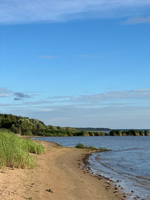 Free Peaceful sandy beach along the Baltic Sea with lush greenery and clear blue skies. Stock Photo