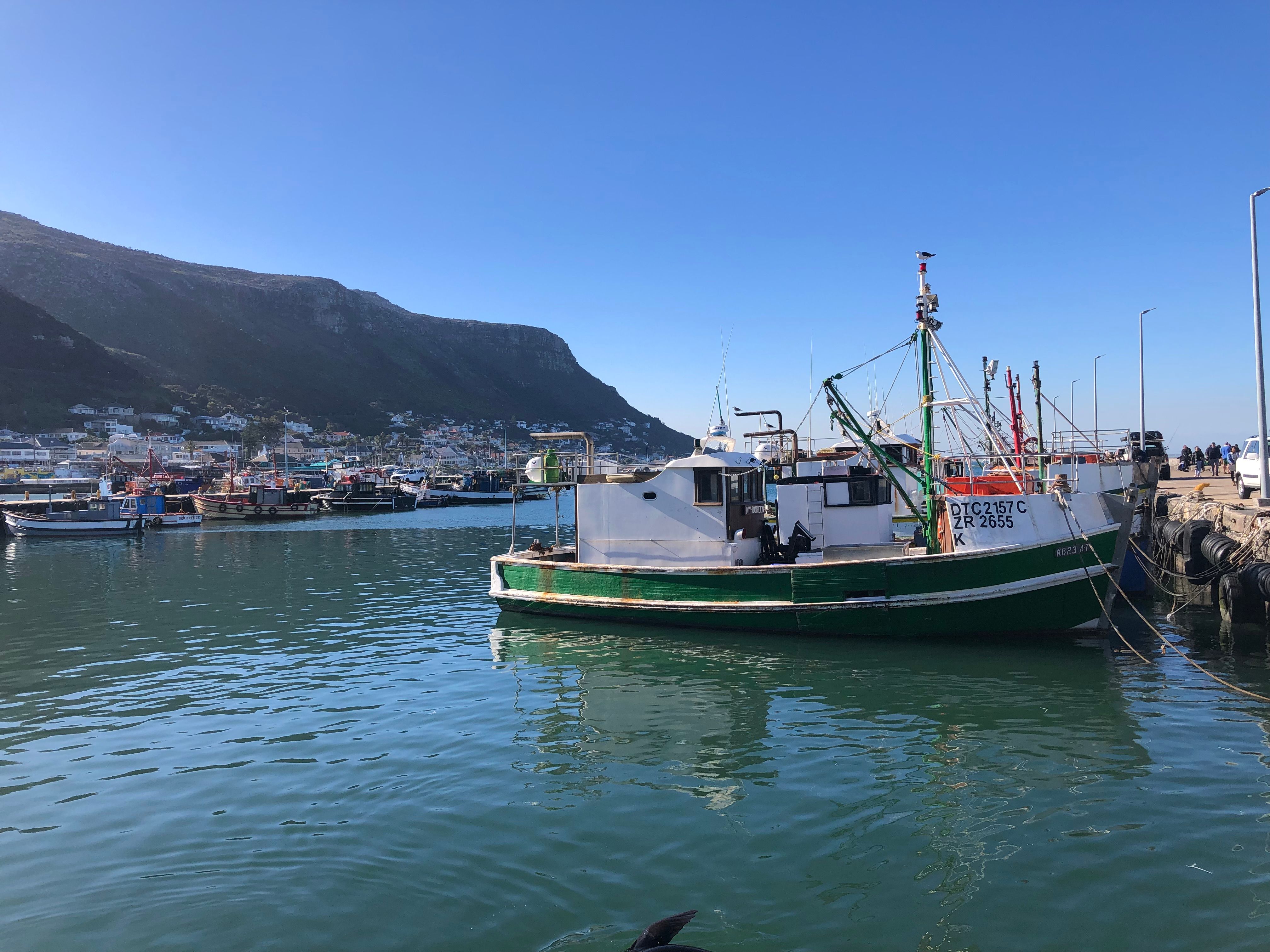 Tours, activities & tickets in Kalk Bay