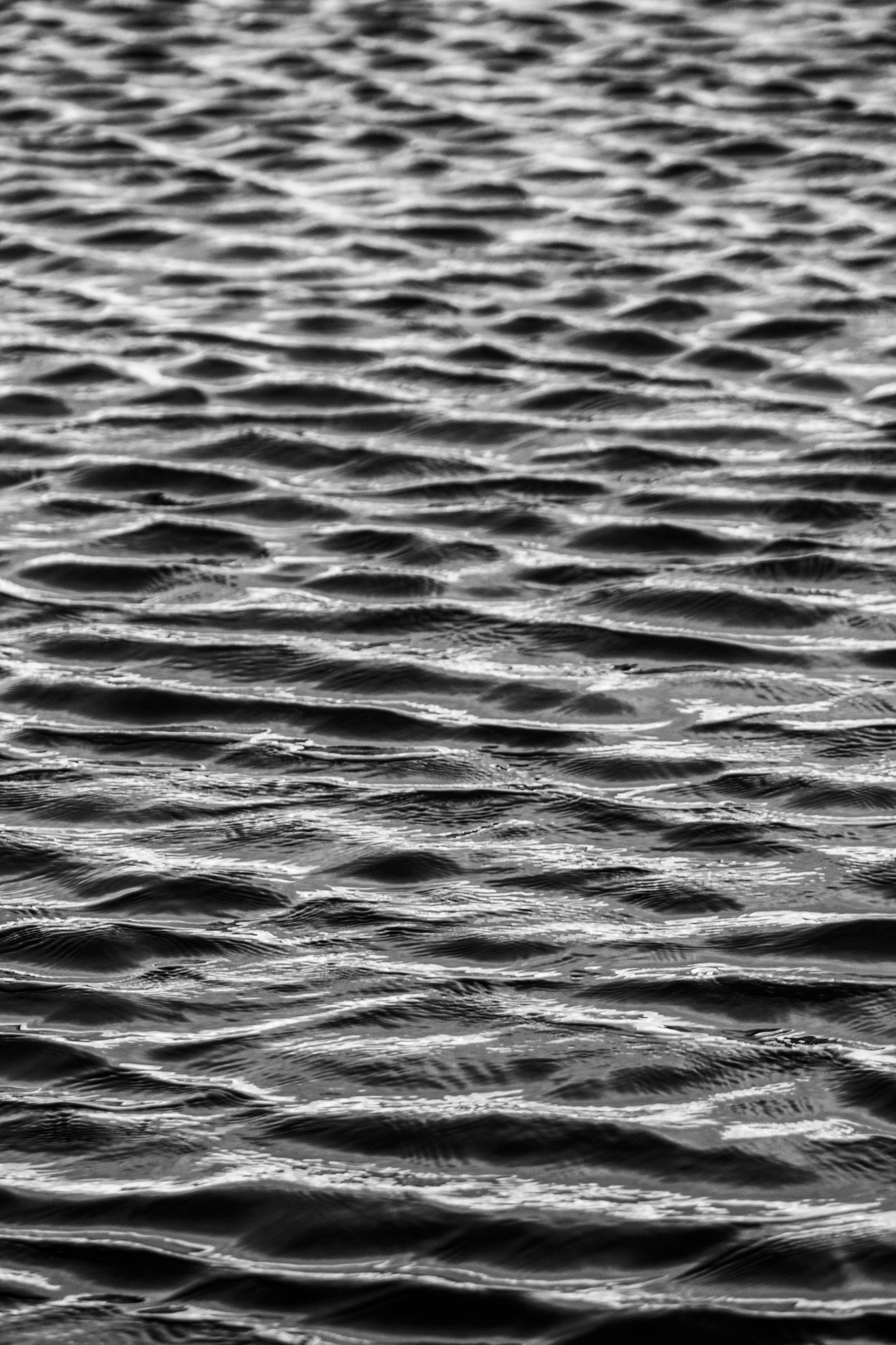 Black and White Rippling Water Surface · Free Stock Photo