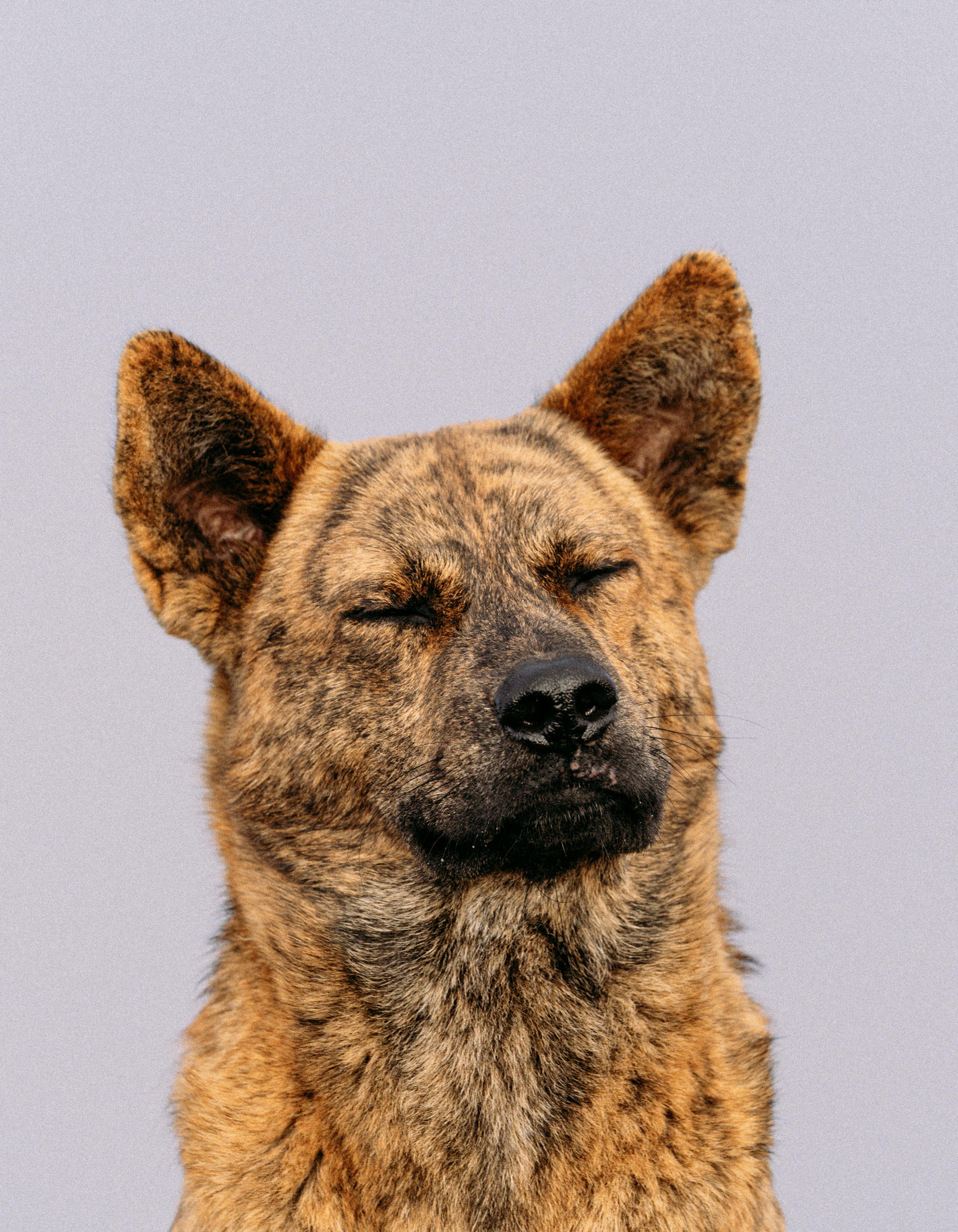 Liga De Béisbol Juvenil De Panamá: ¿Por Qué Es Tan Emocionante? 3 Cómo la Liga de Béisbol Juvenil de Panamá Impulsa el Talento Juvenil en el Béisbol Latinoamericano
