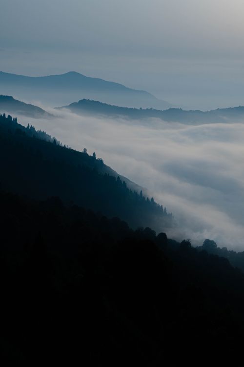 Free Peaceful misty mountain scene captured at dawn, highlighting layers of fog. Stock Photo