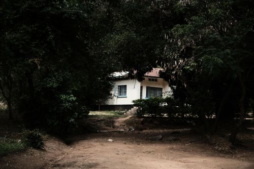 Free A peaceful house surrounded by thick forest, offering a serene rural retreat. Stock Photo