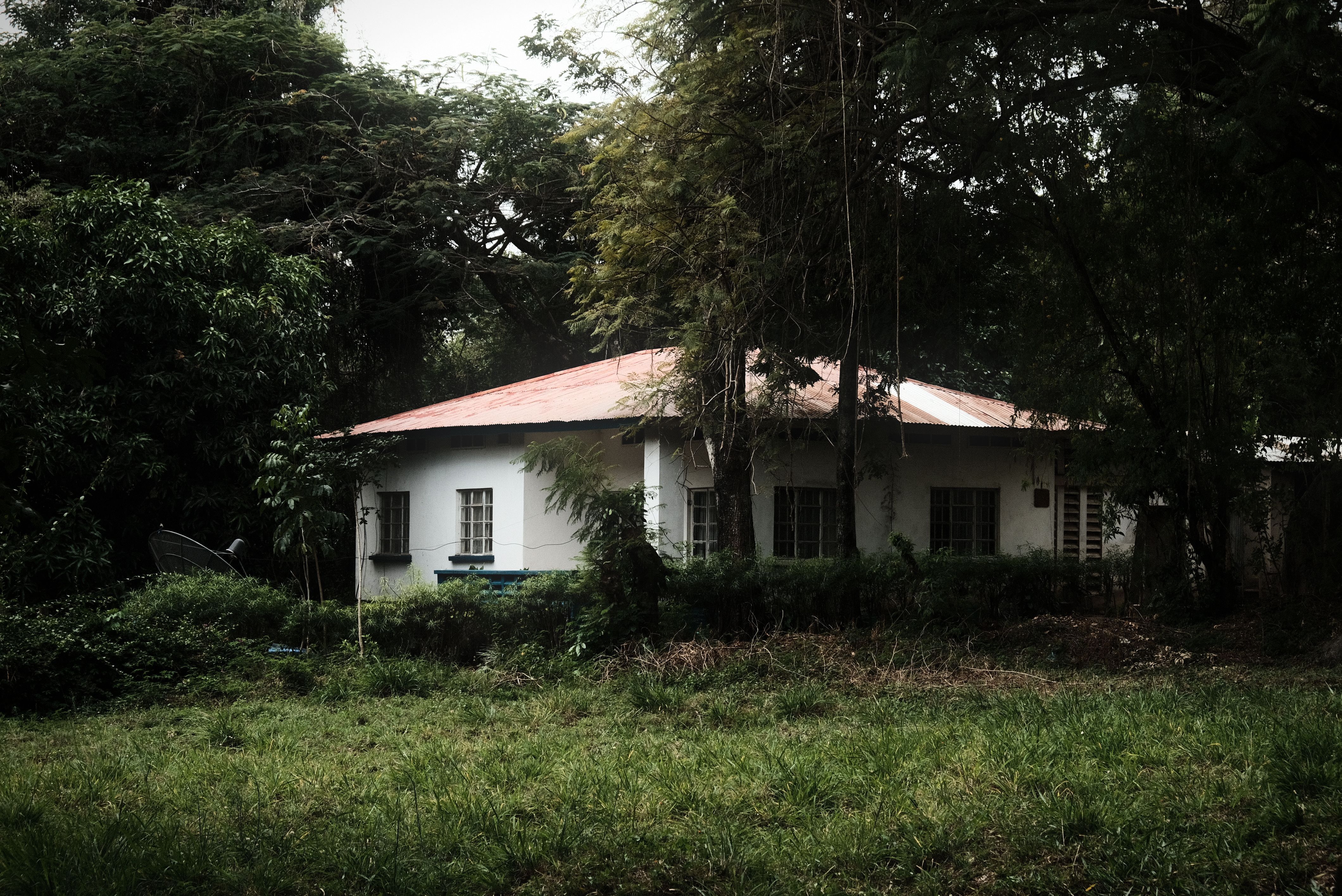A peaceful rural house surrounded by foliage with a red metal roof, offering a serene escape.