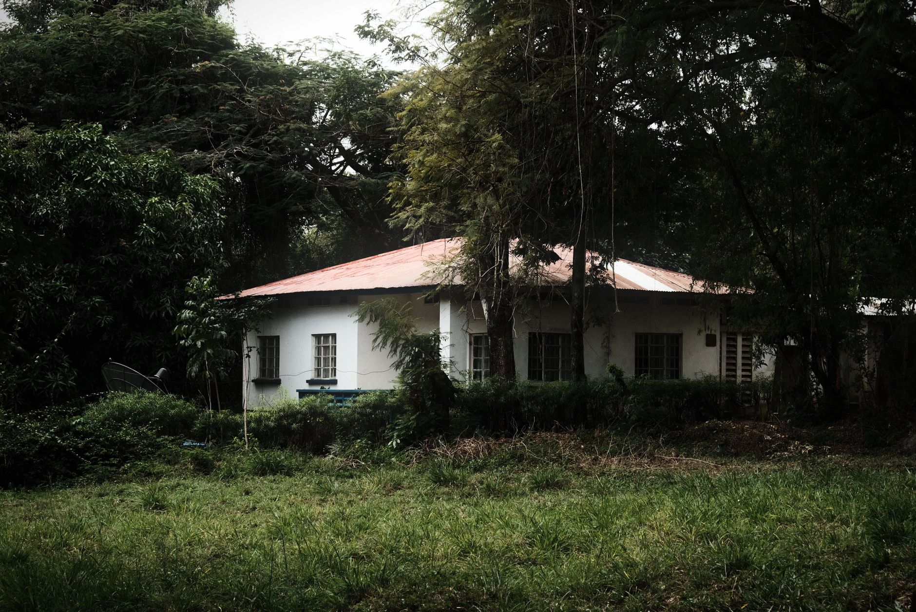 A peaceful rural house surrounded by foliage with a red metal roof, offering a serene escape.