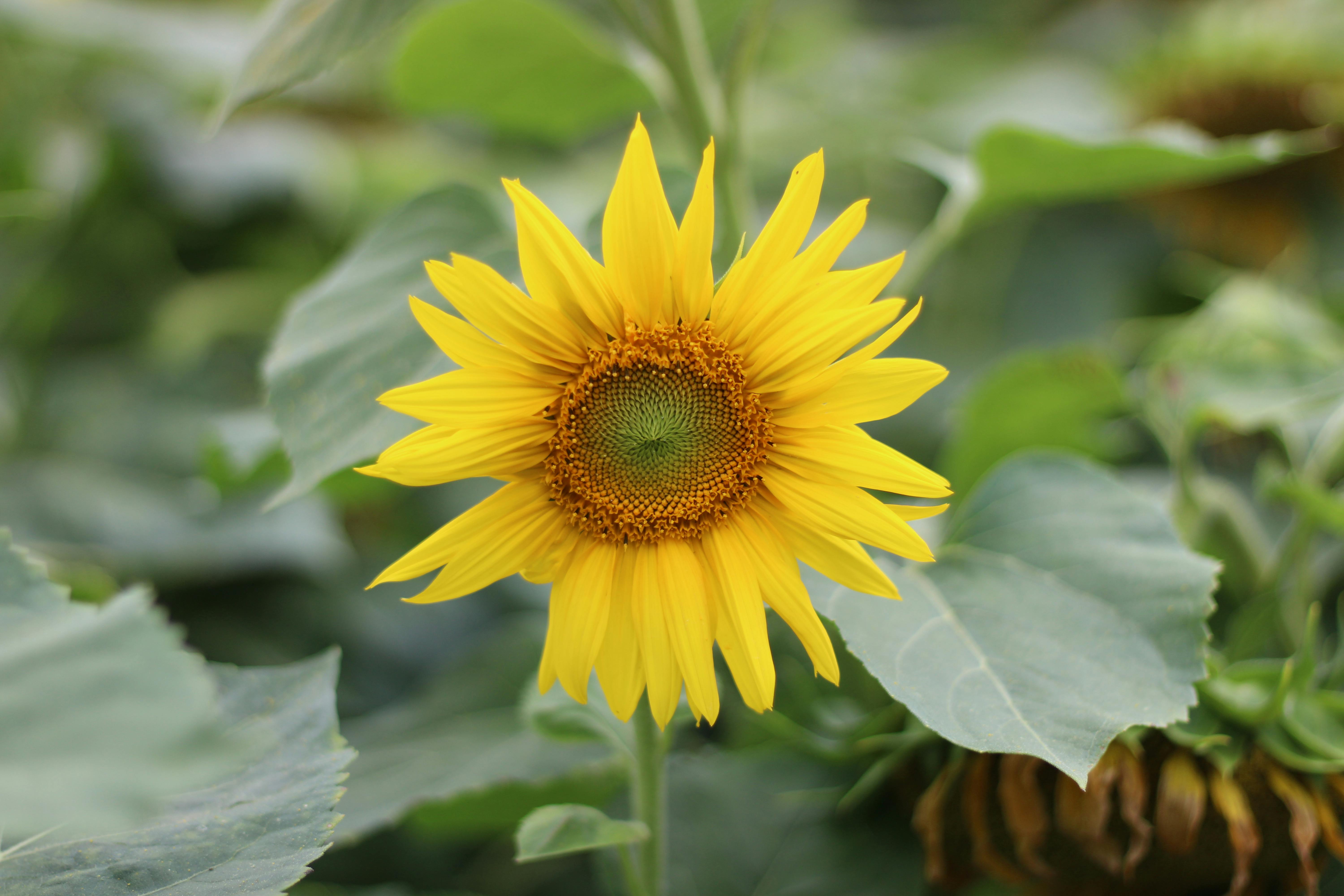 Revolutionary Habits for Instant Focus