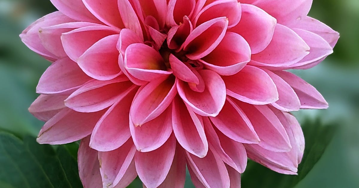 一看就懂 中國與地緣政治 中俄撲朔迷離的愛恨情仇