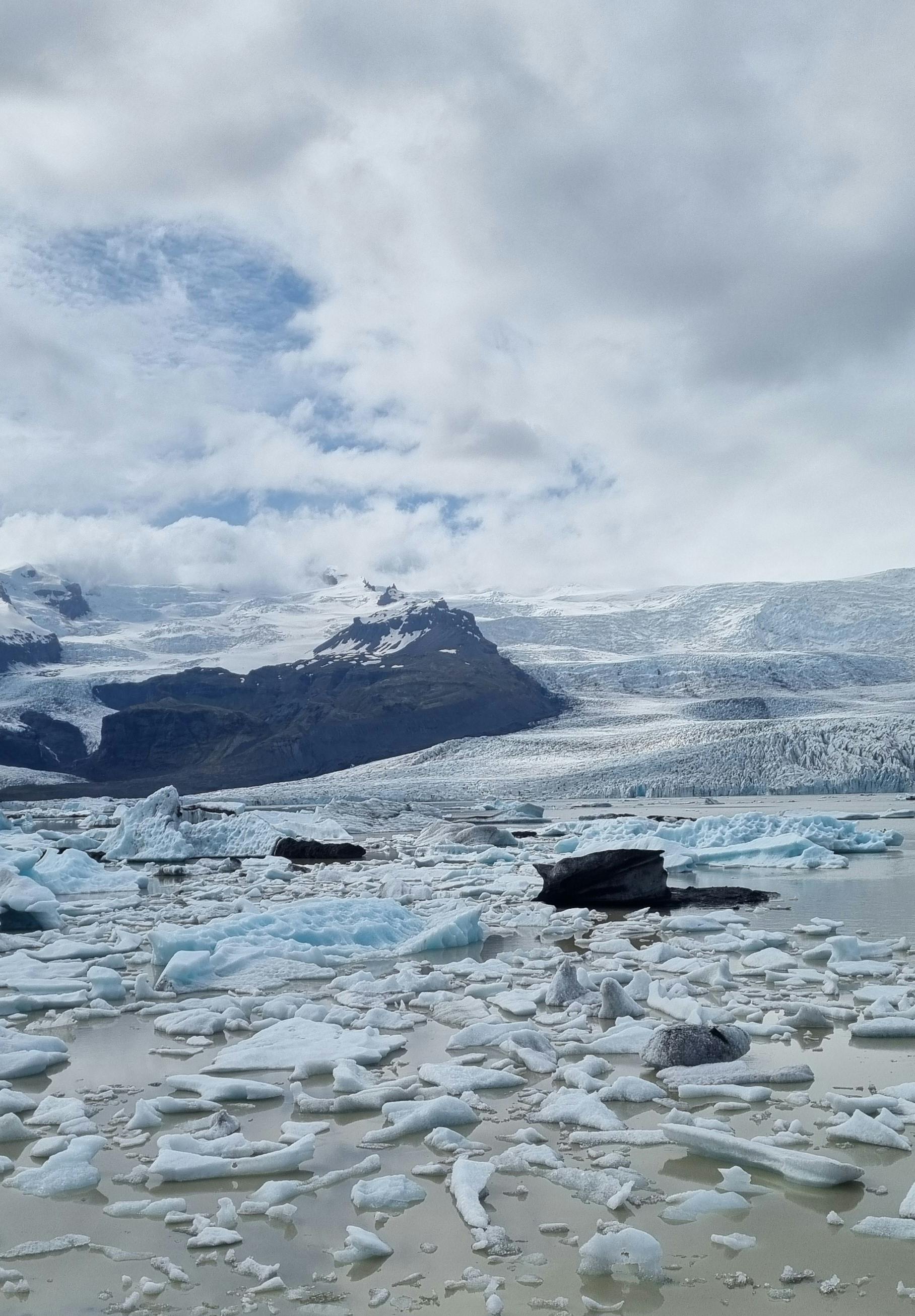 Change Management Consultant