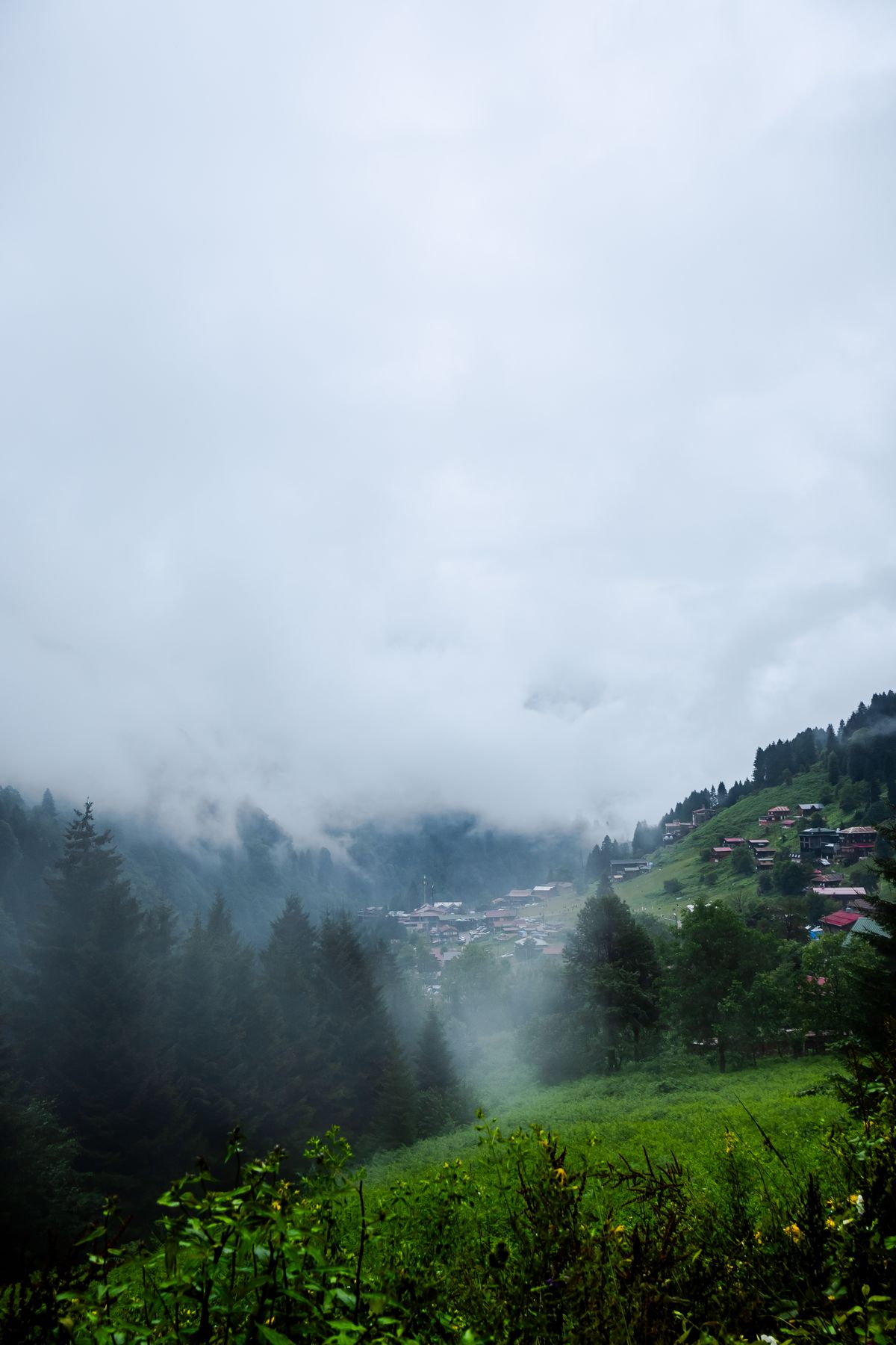 Rize Ayder Yaylası doğa manzarası