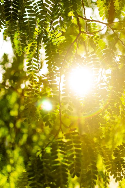 Person feeling sunlight on their face, representing Vitamin D3 production
