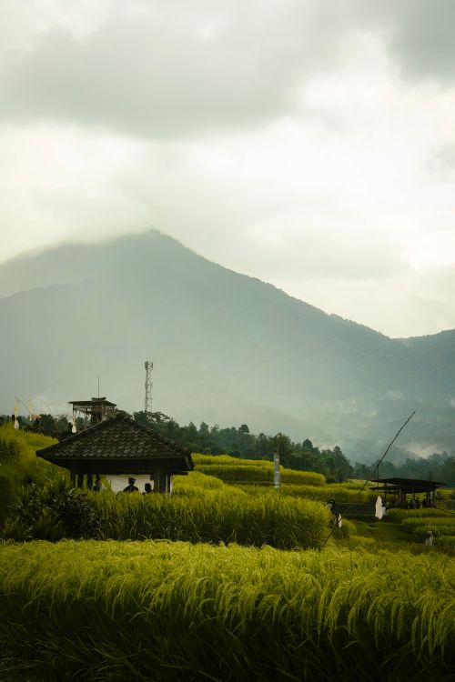 Free Dramatic view of lush rice terraces against Bali's majestic mountains under a cloudy summer sky. Stock Photo