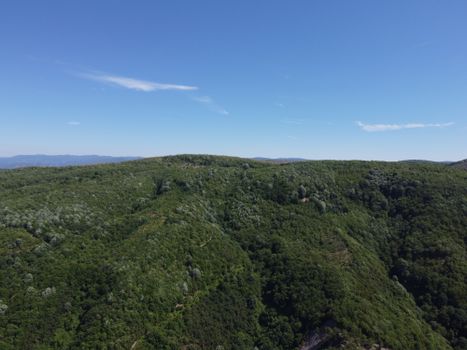 A serene aerial view of a verdant forest landscape under a clear blue sky.