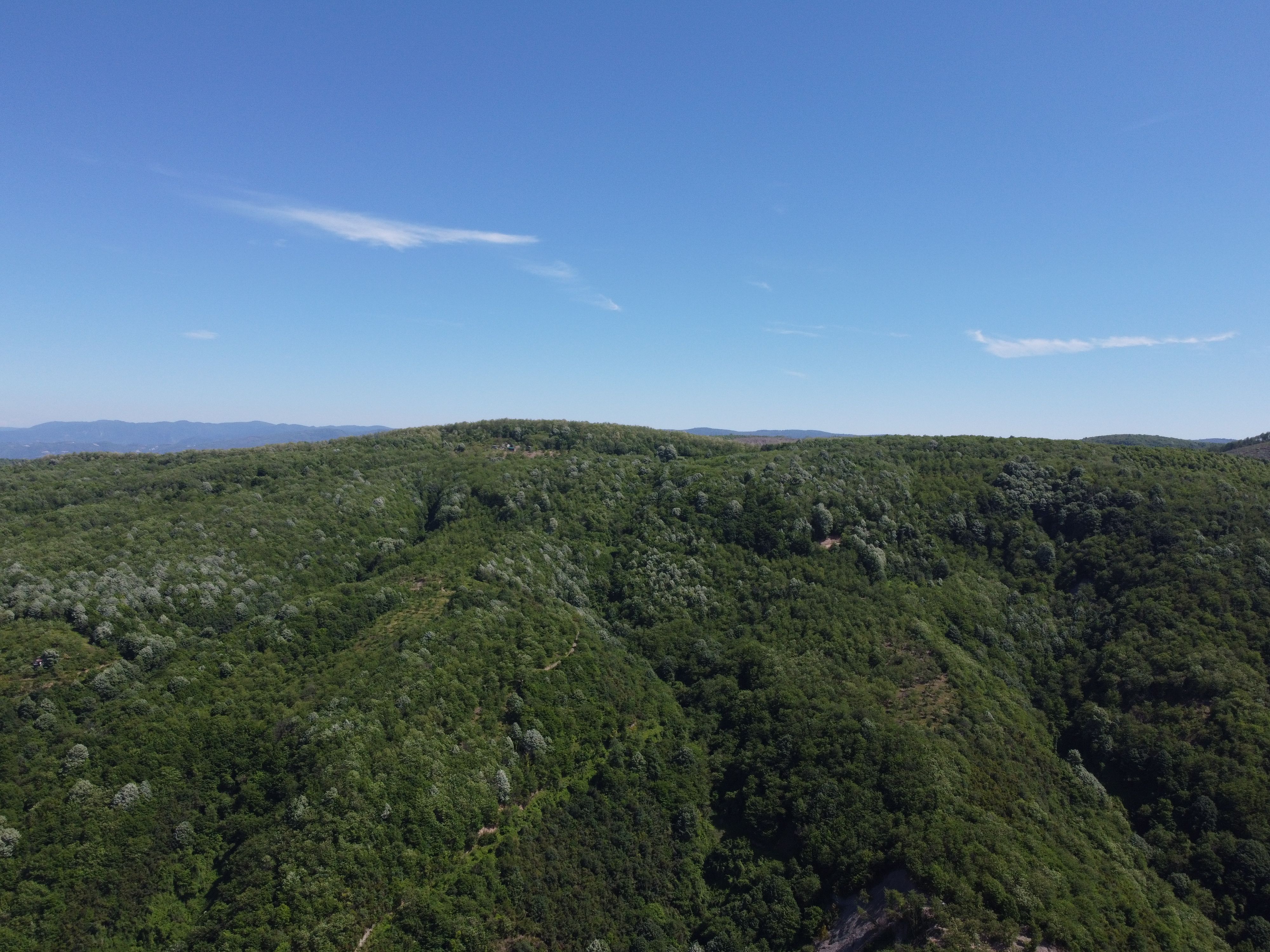 Aerial View of Lush Green Landscape · Free Stock Photo