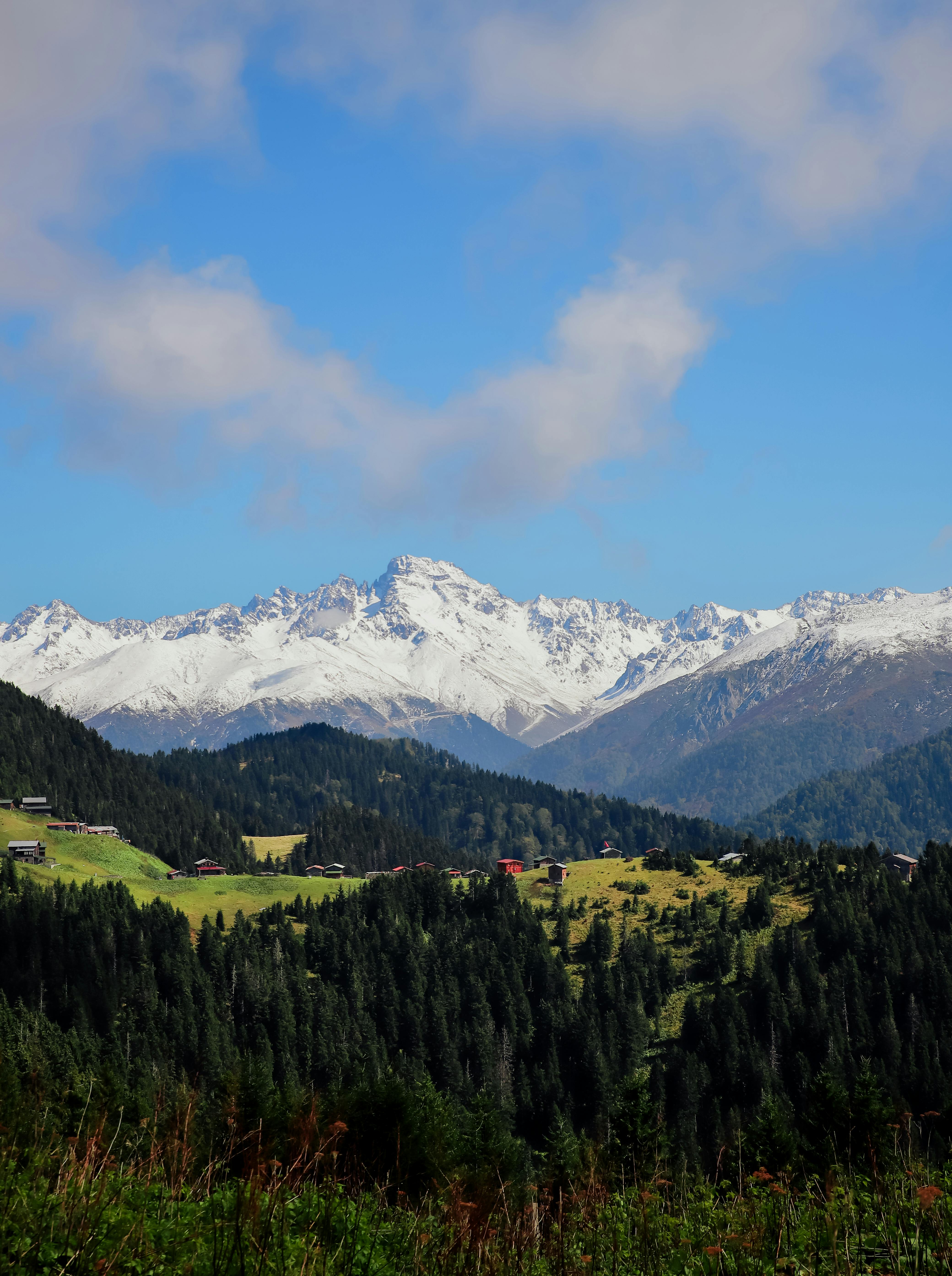 A stunning view of snow-capped mountains and lush green forests under a clear blue sky.