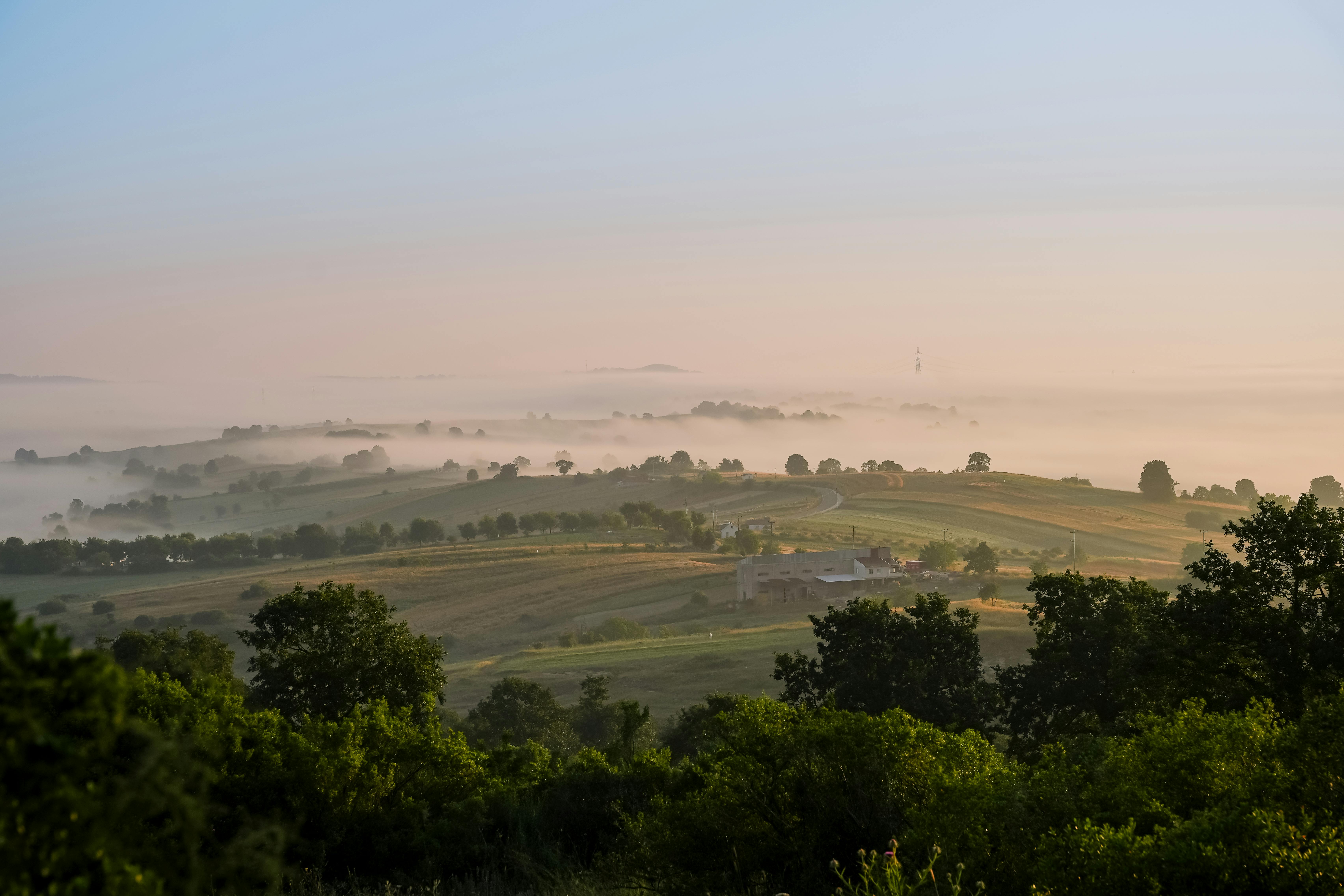 Sustainable Living Tips You Need Now