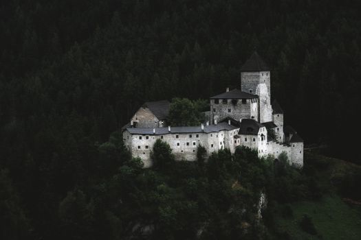 A dramatic view of a medieval castle nestled within a dense, dark forest, exuding a mysterious charm.