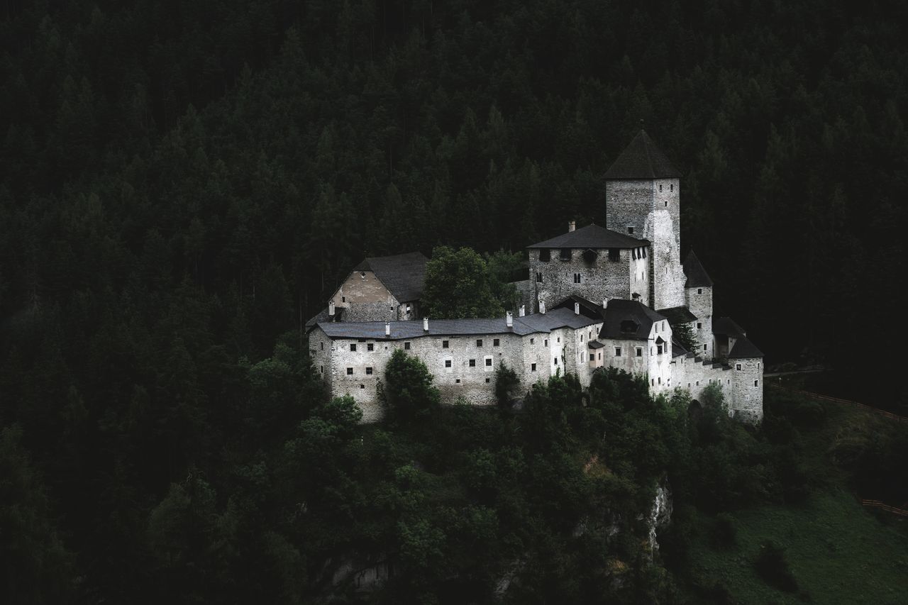 a dramatic view of a medieval castle nestled within a dense dark fores