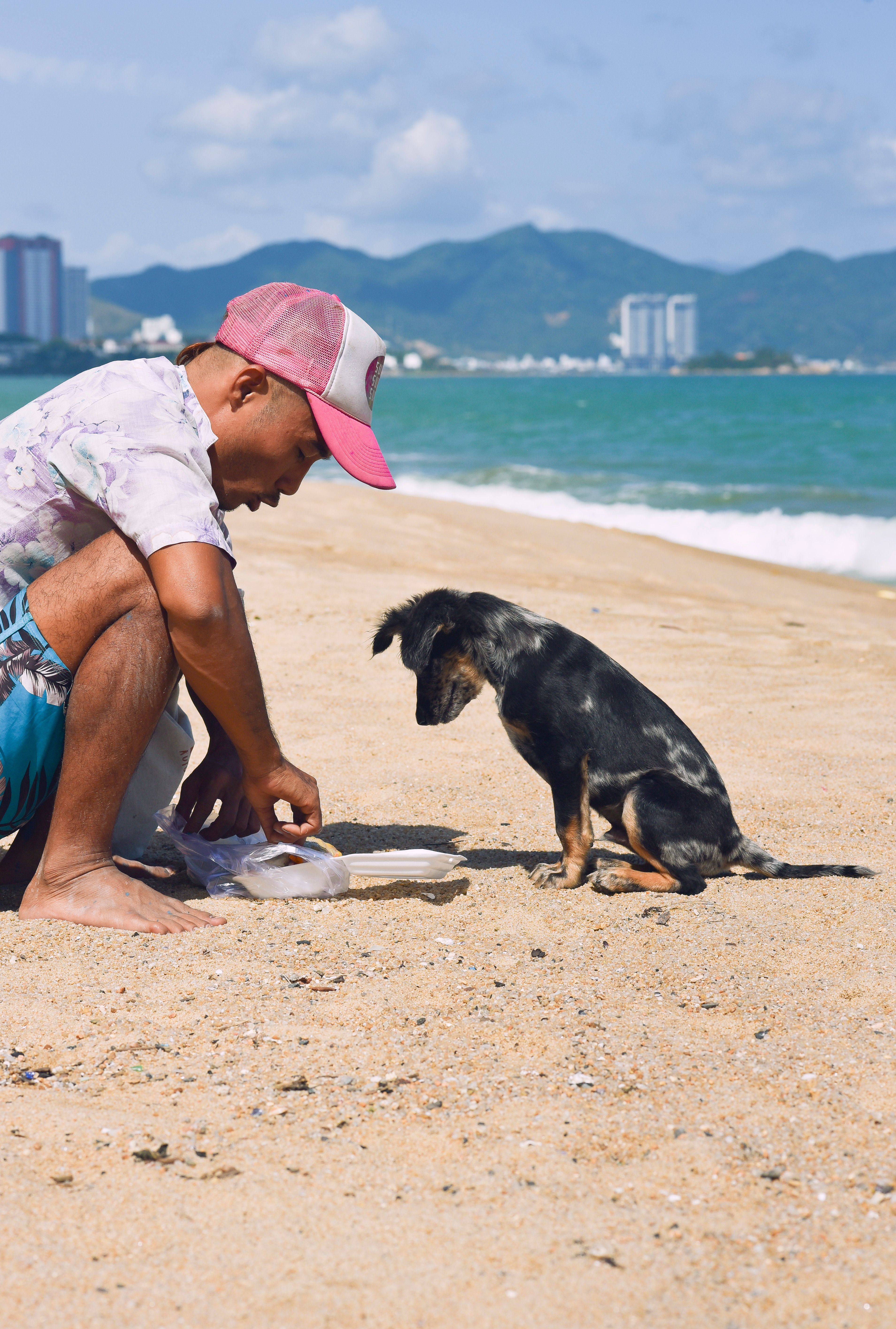 A man and a playful puppy on a sunny beach in Nha Trang, Vietnam.