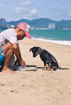 Beachlife of a local boy and his puppy 