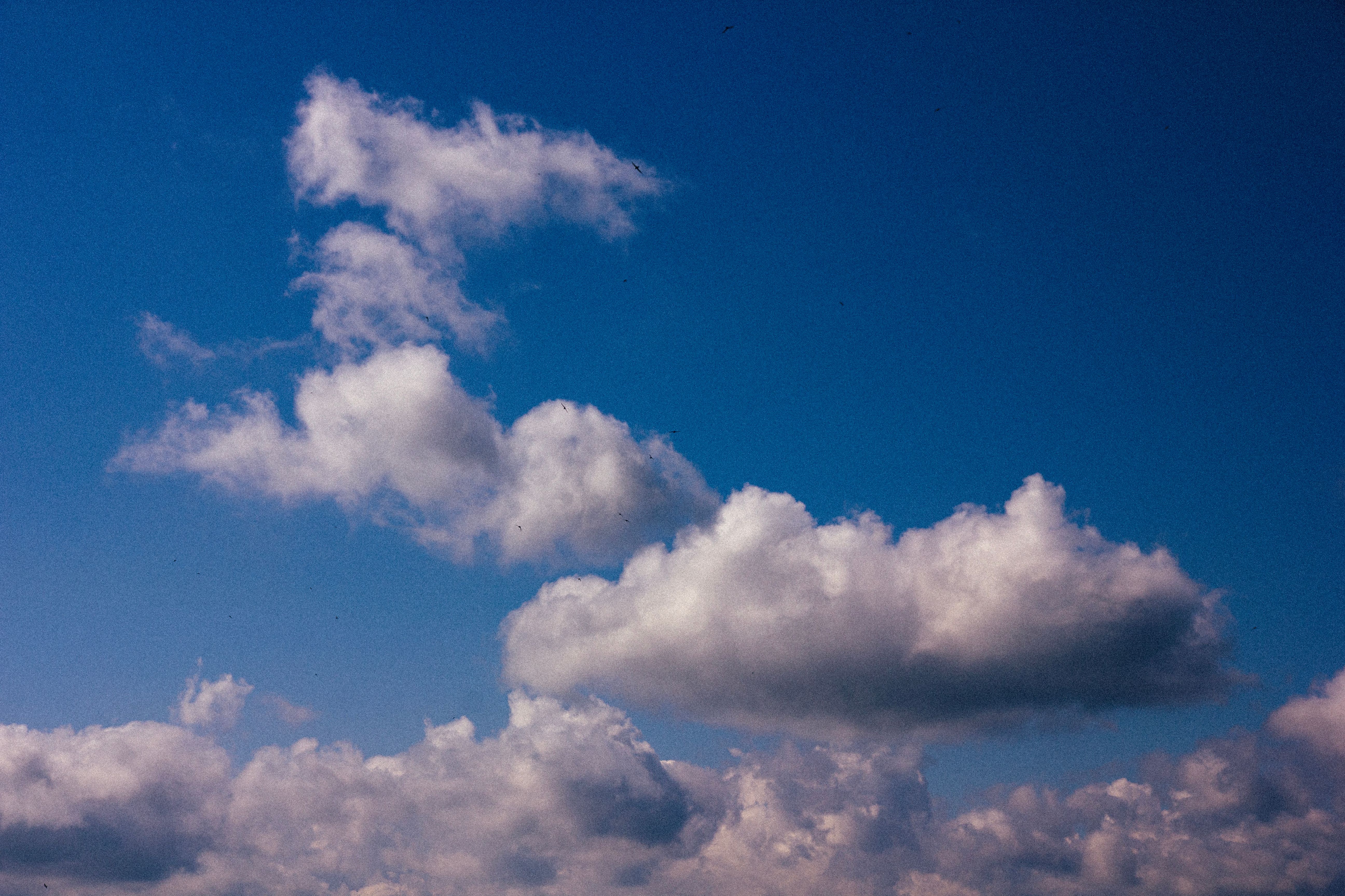 Serene Blue Sky with Fluffy Clouds · Free Stock Photo