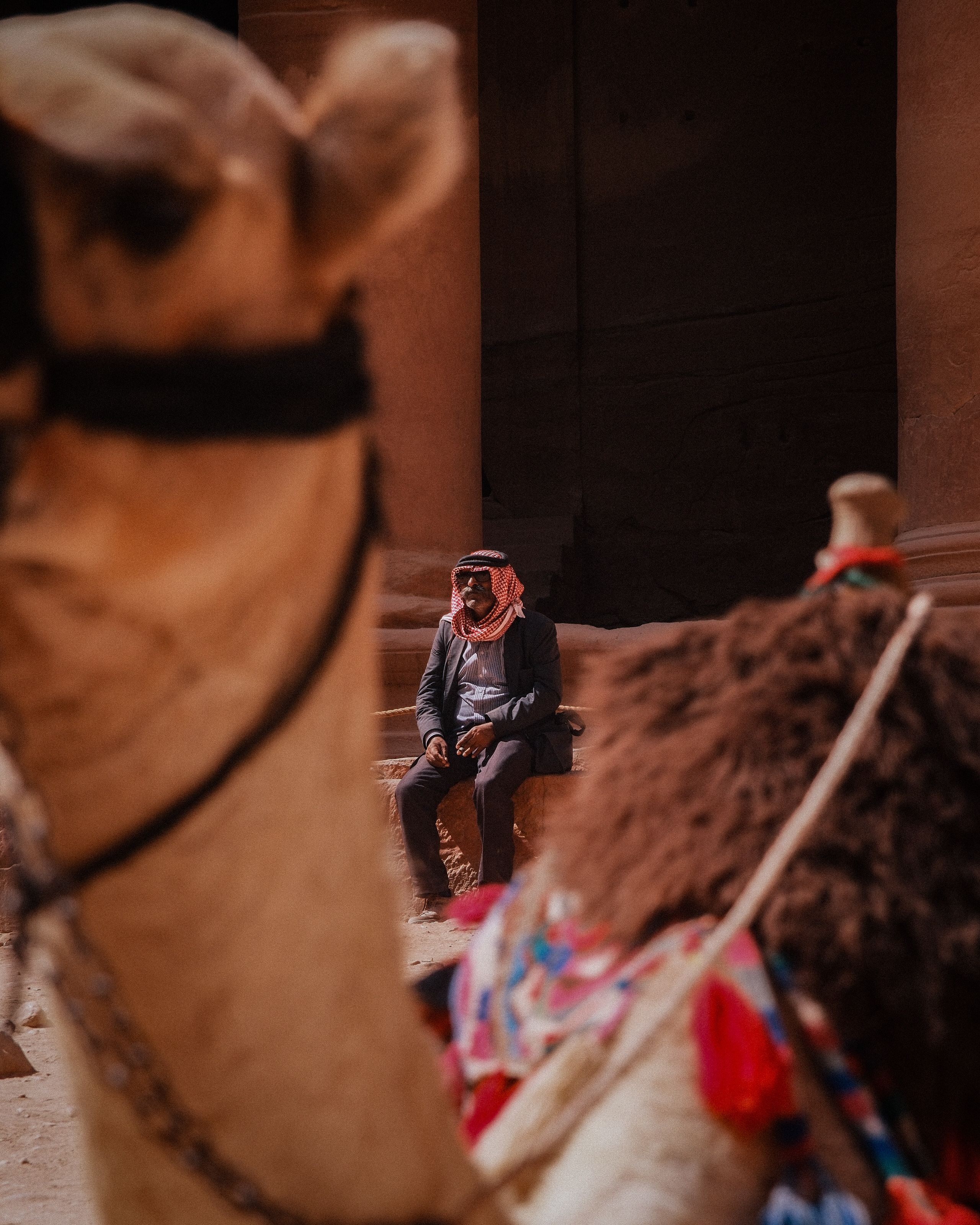 Camel Rider in Front of Ancient Petra Ruins · Free Stock Photo