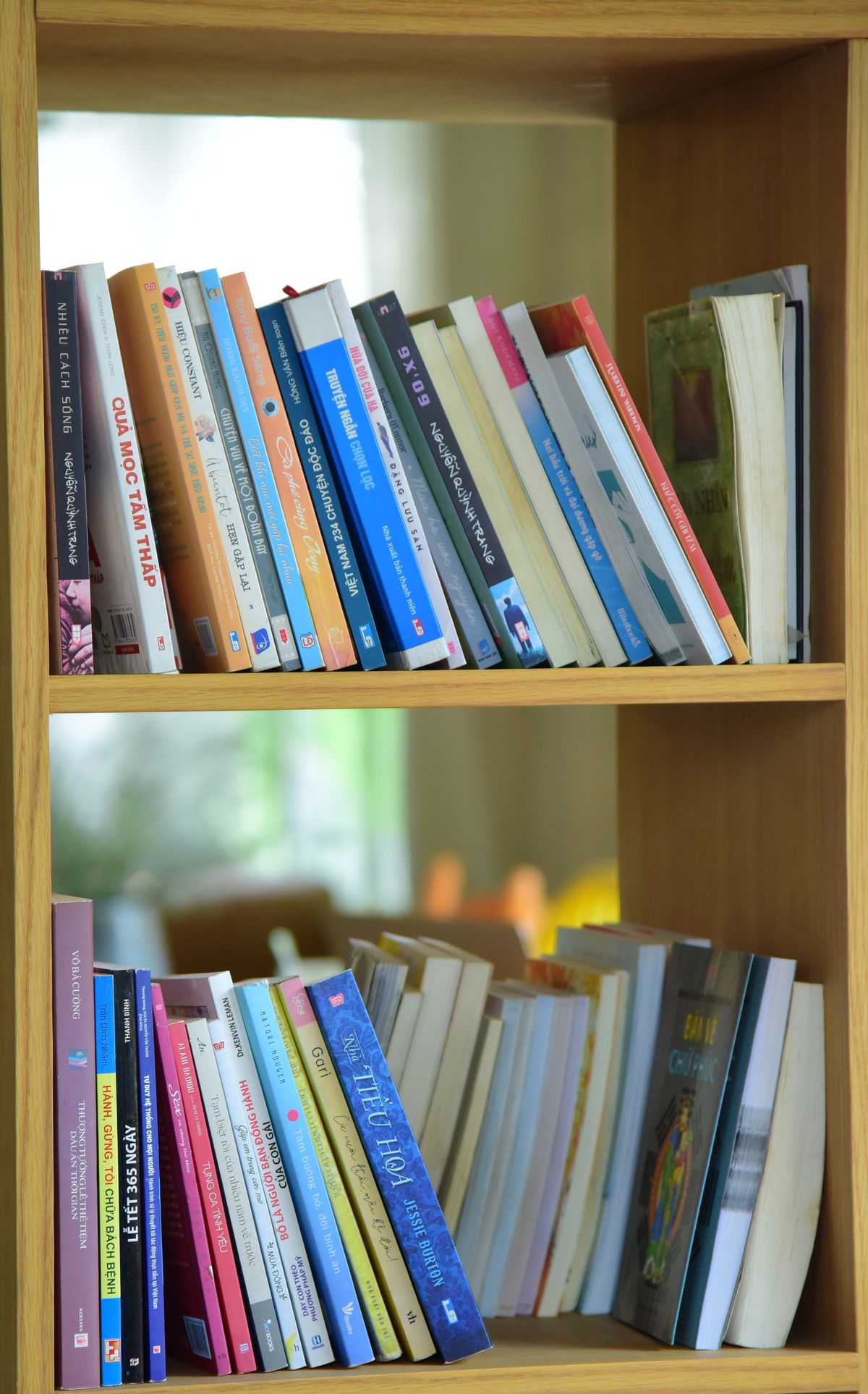 Wooden bookshelf filled with neatly organized books in a bright small living room