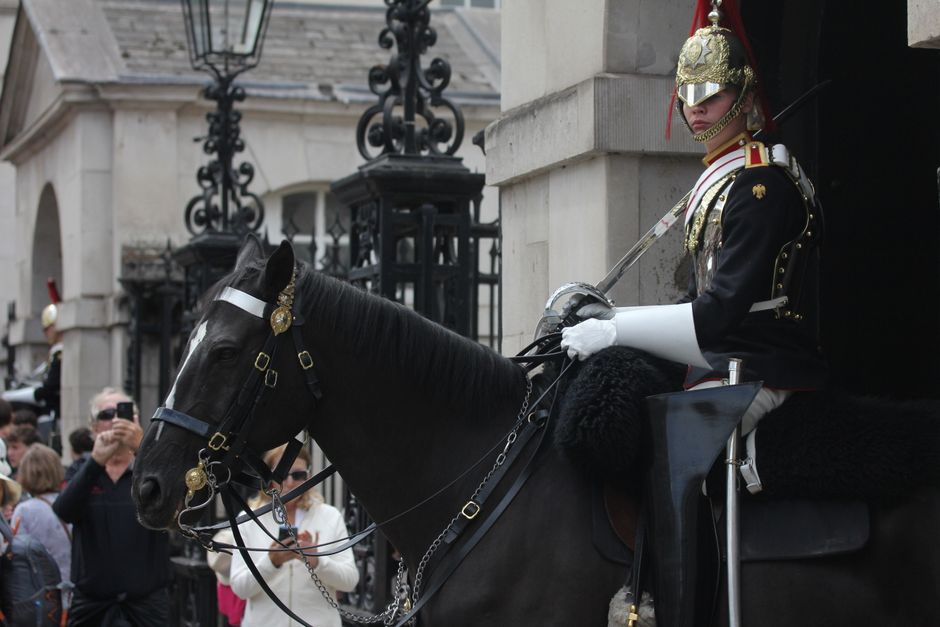 tourist pushed near guard horse