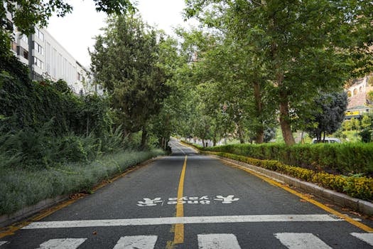 Capture of a peaceful tree-lined street in Niğde, Türkiye, showcasing nature and tranquility.