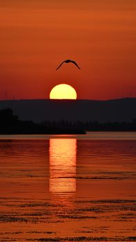 A breathtaking sunset with vivid orange hues and a bird in silhouette over a tranquil lake in Bursa, Türkiye.
