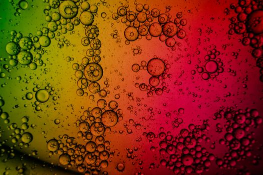 Close-up of bubbles on a gradient multicolor background, creating a vibrant abstract pattern.