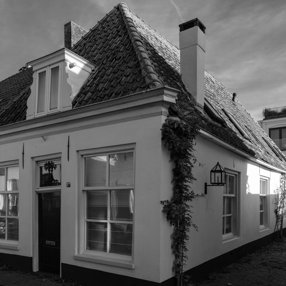 Exterior Painting in Selsdon — dust sheets down and the room fully protected