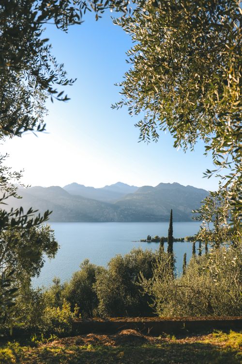 Free Breathtaking landscape of Lake Garda with olive trees and cypress in Malcesine, Italy. Stock Photo