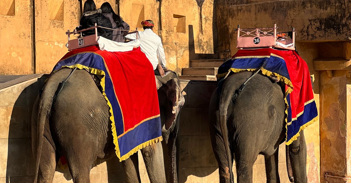 Riding Elephants at Amber Fort in Jaipur · Free Stock Photo
