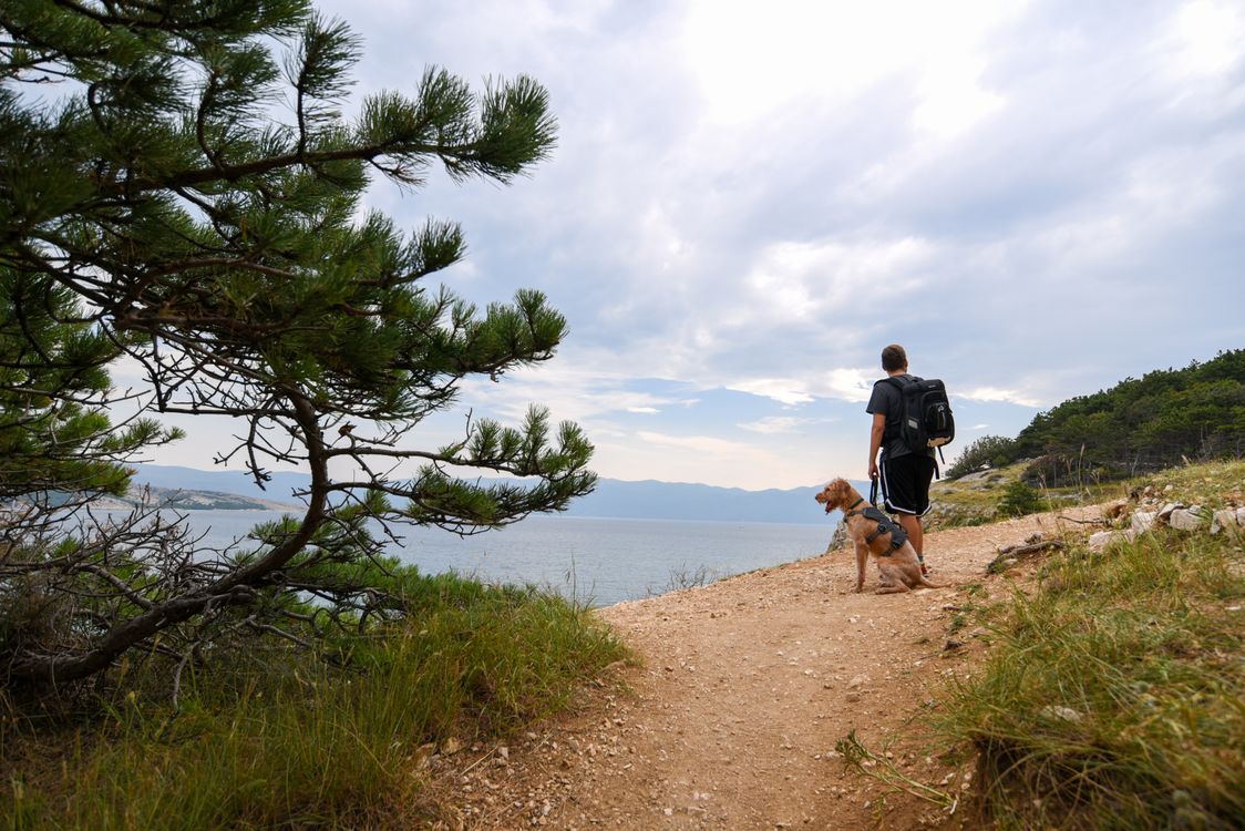 Man Hiking with Dog on Scenic Coastal Trail · Free Stock Photo