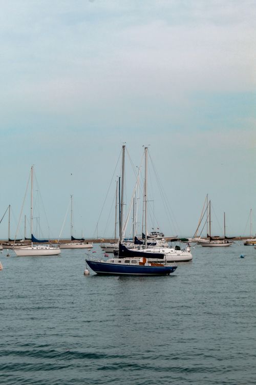Free Sailboats gently floating in a calm harbor under a serene sky, perfect for a peaceful getaway. Stock Photo