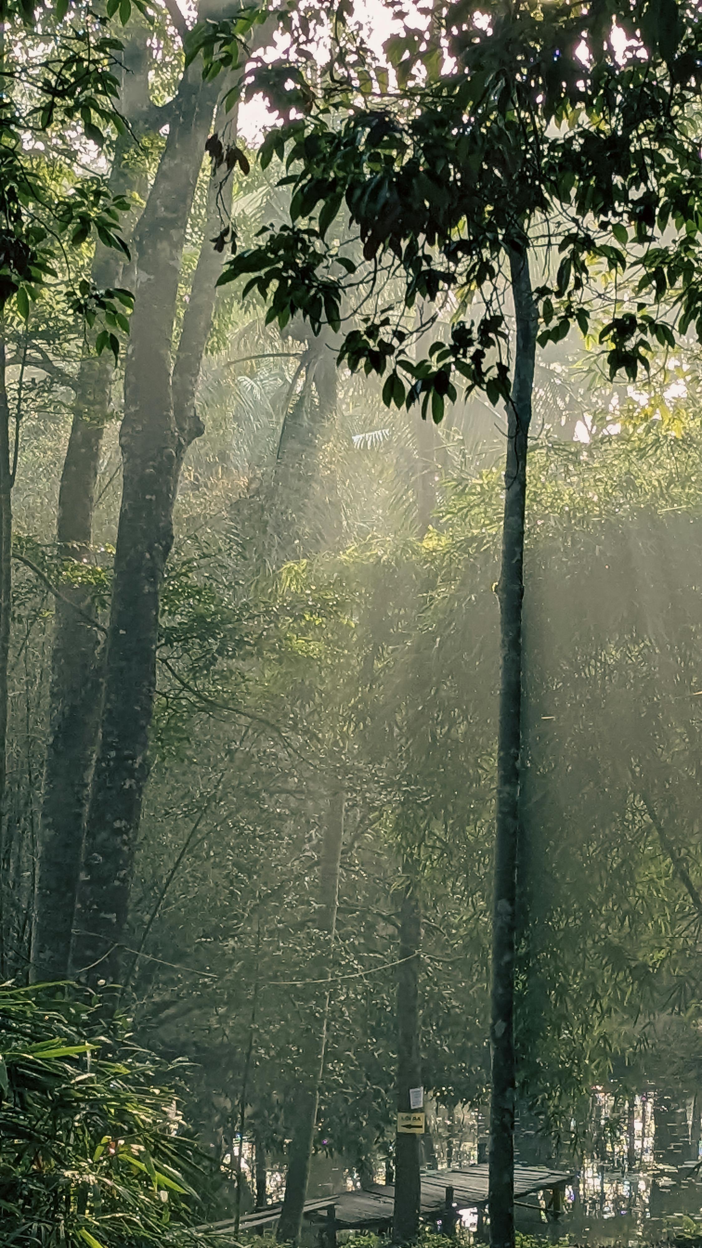 Gieo trồng hạnh phúc | Chương 48 153 – thu vien, van hoc, van hoc viet nam, doan van, ton giao, phat giao, thien van, thuc hanh ton giao, thich nhat hanh, gieo trong hanh phuc, gieo trong hanh phuc chuong 47, gieo trong hanh phuc 47.